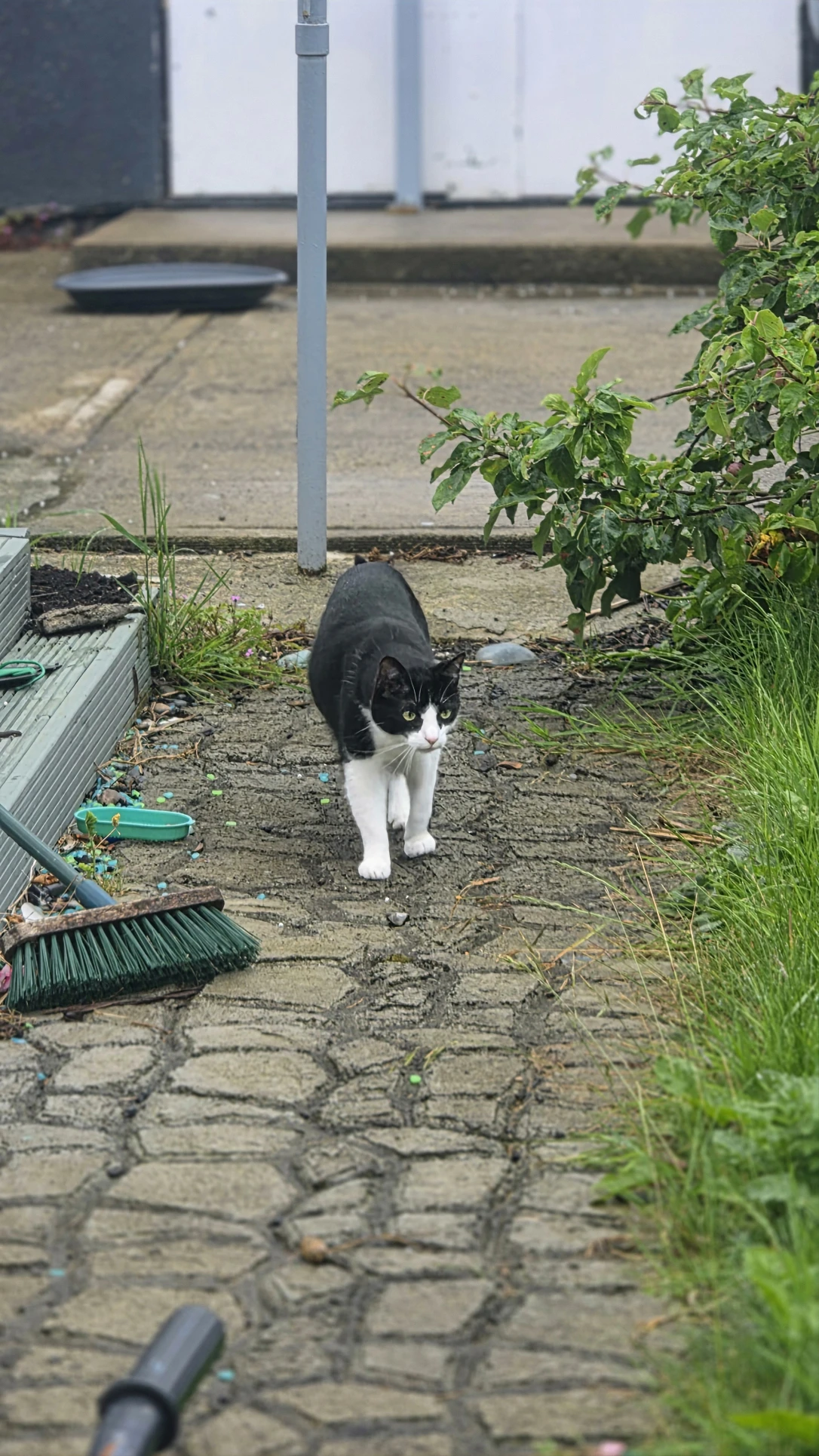 image-7