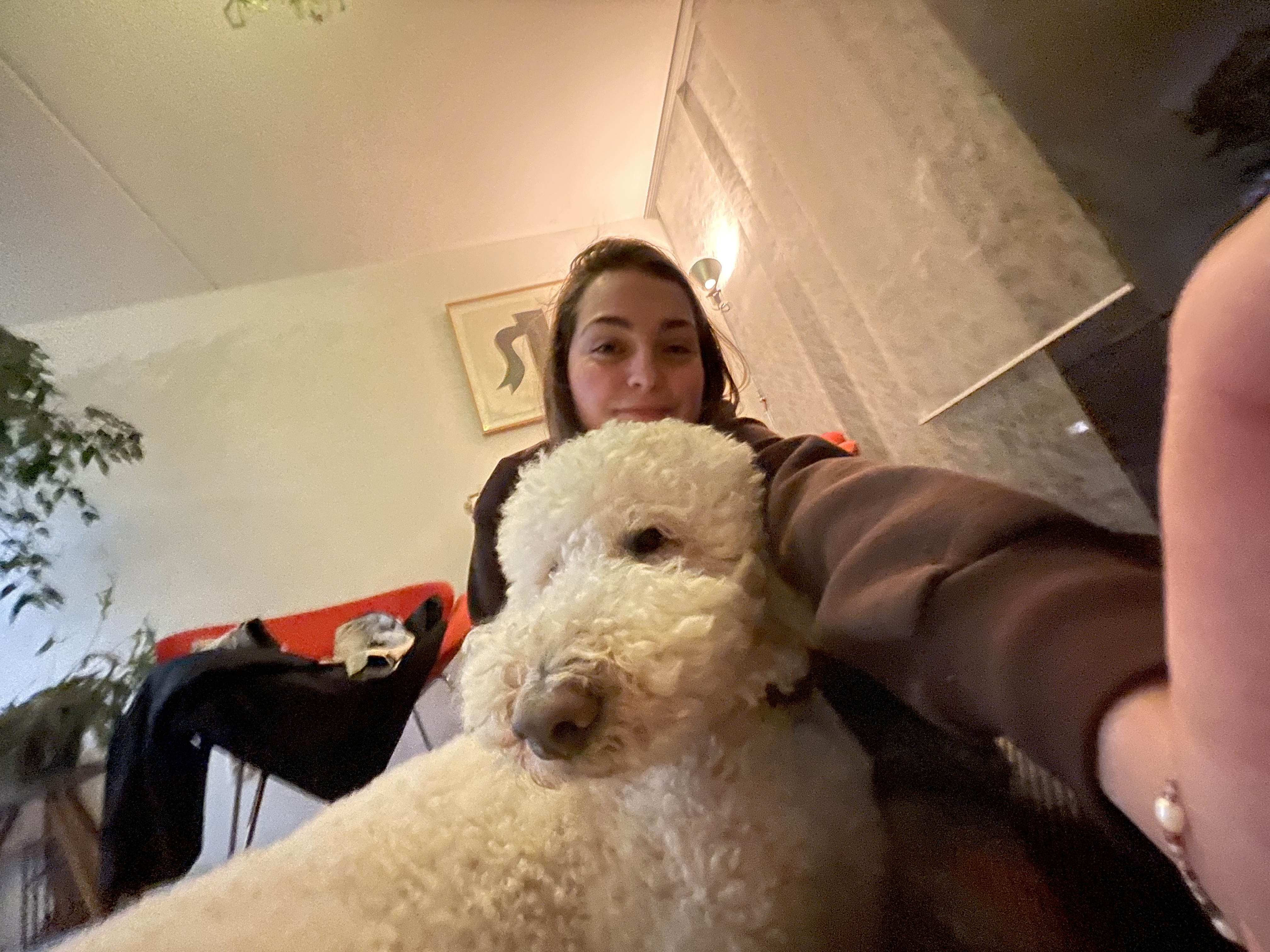 image-4