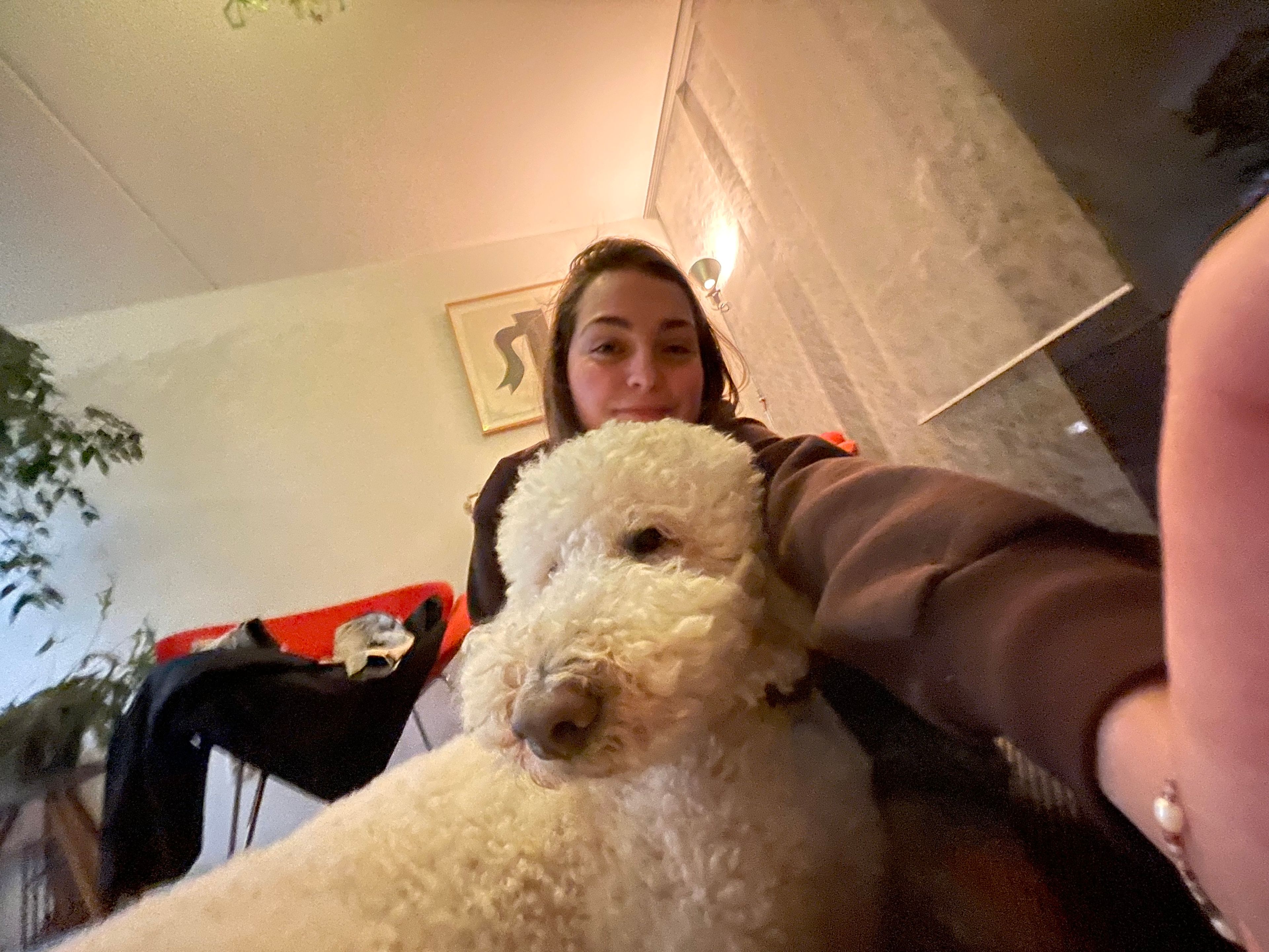 image-4