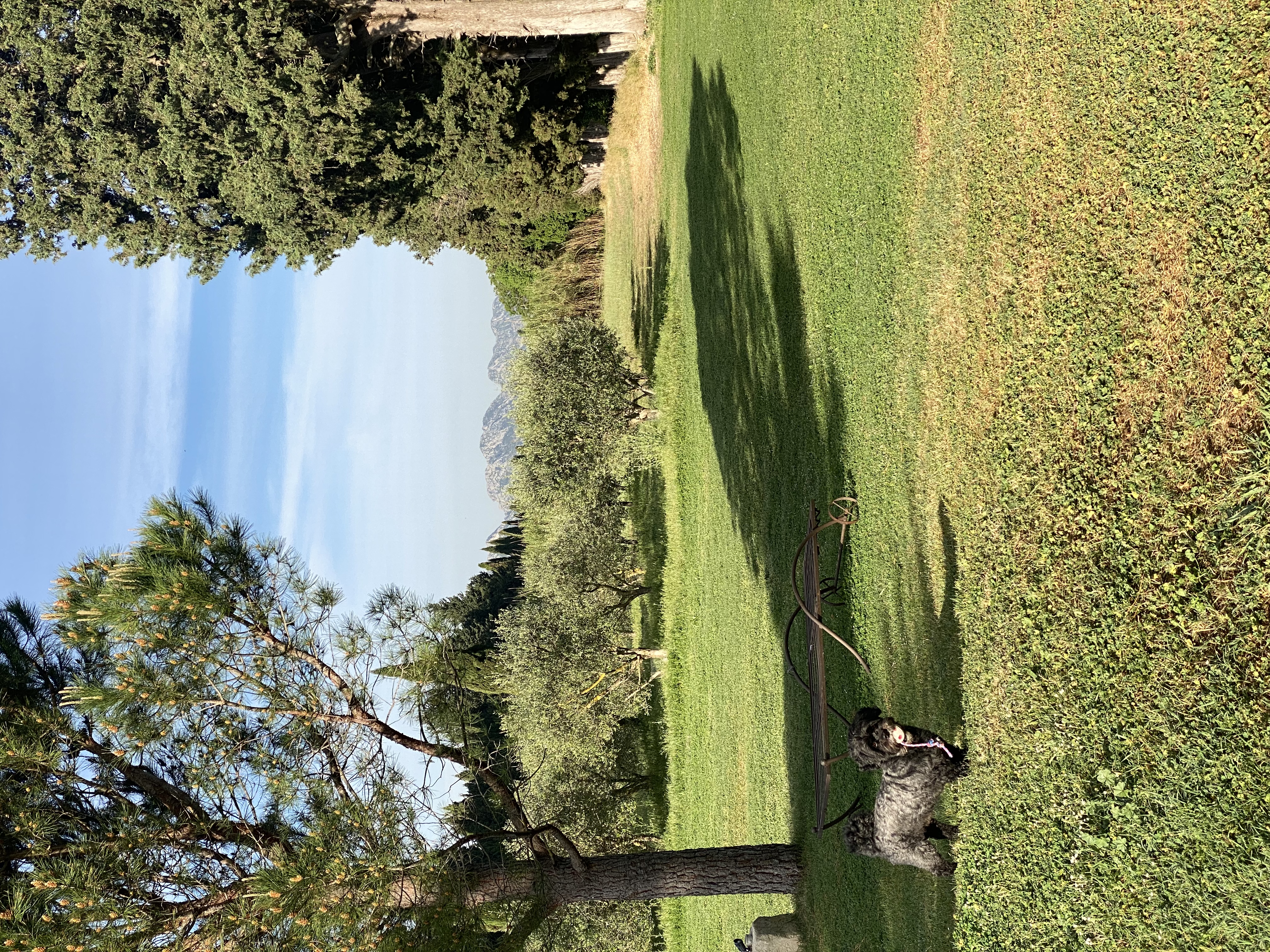 image-10