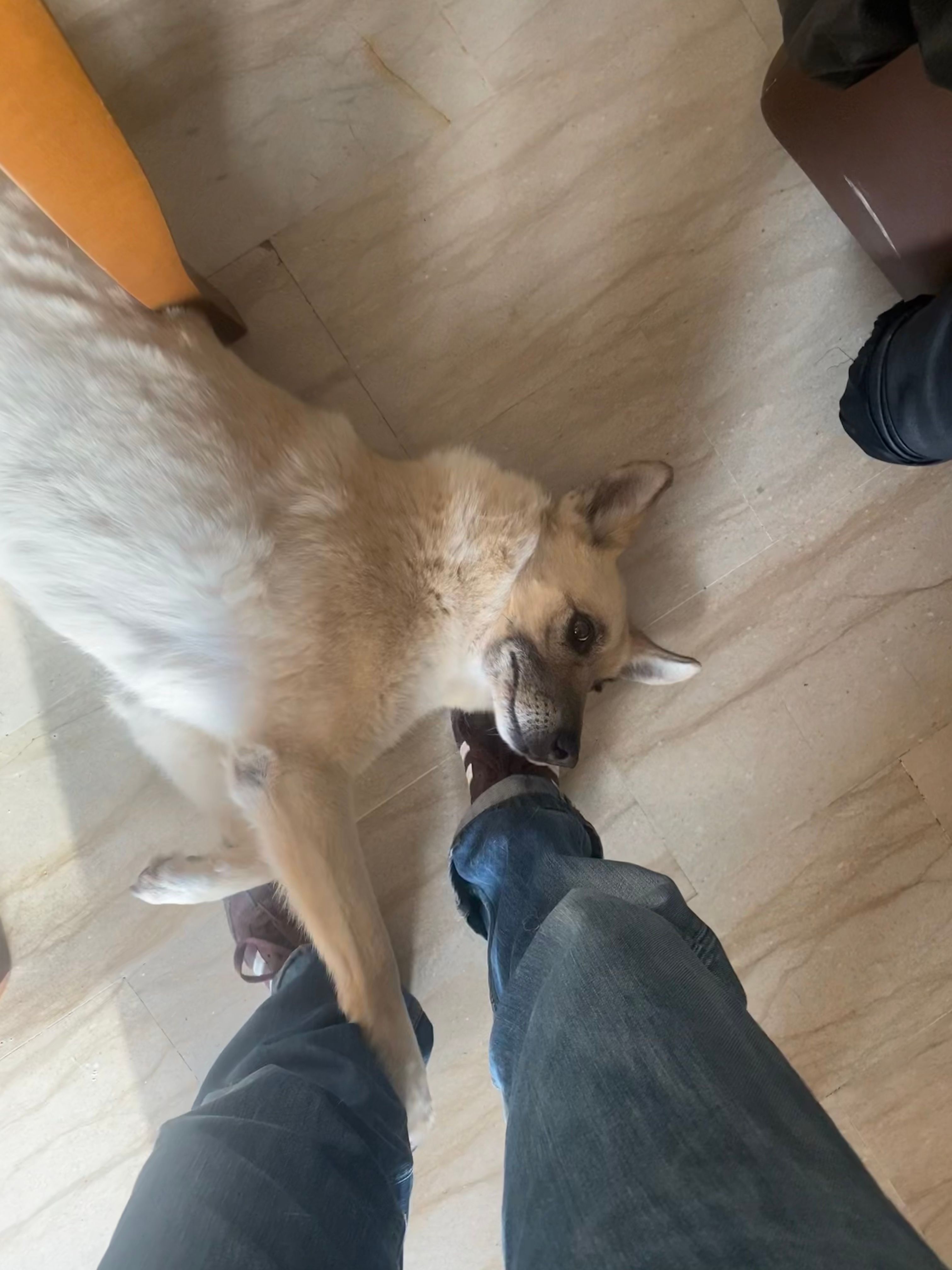 image-8
