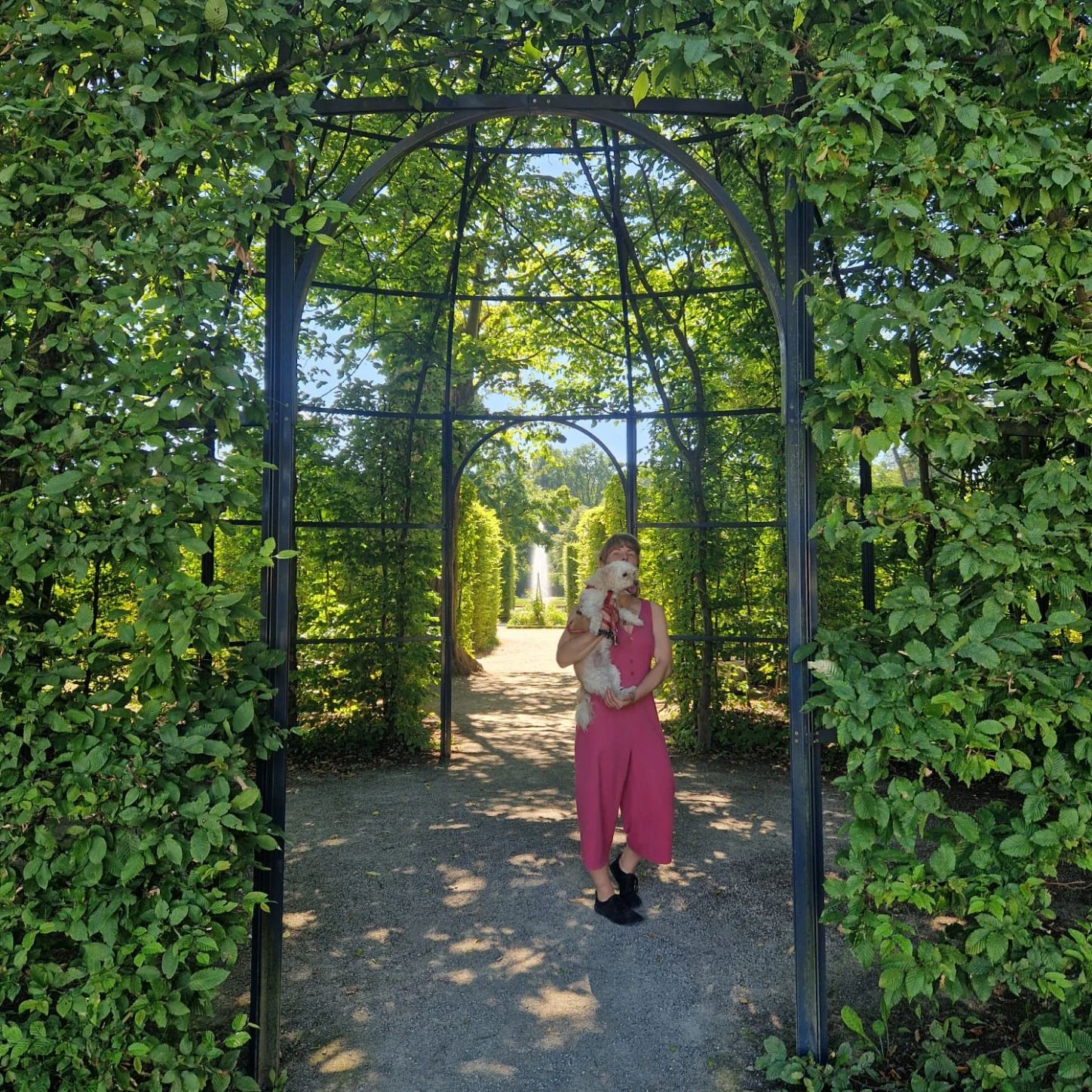 image-7