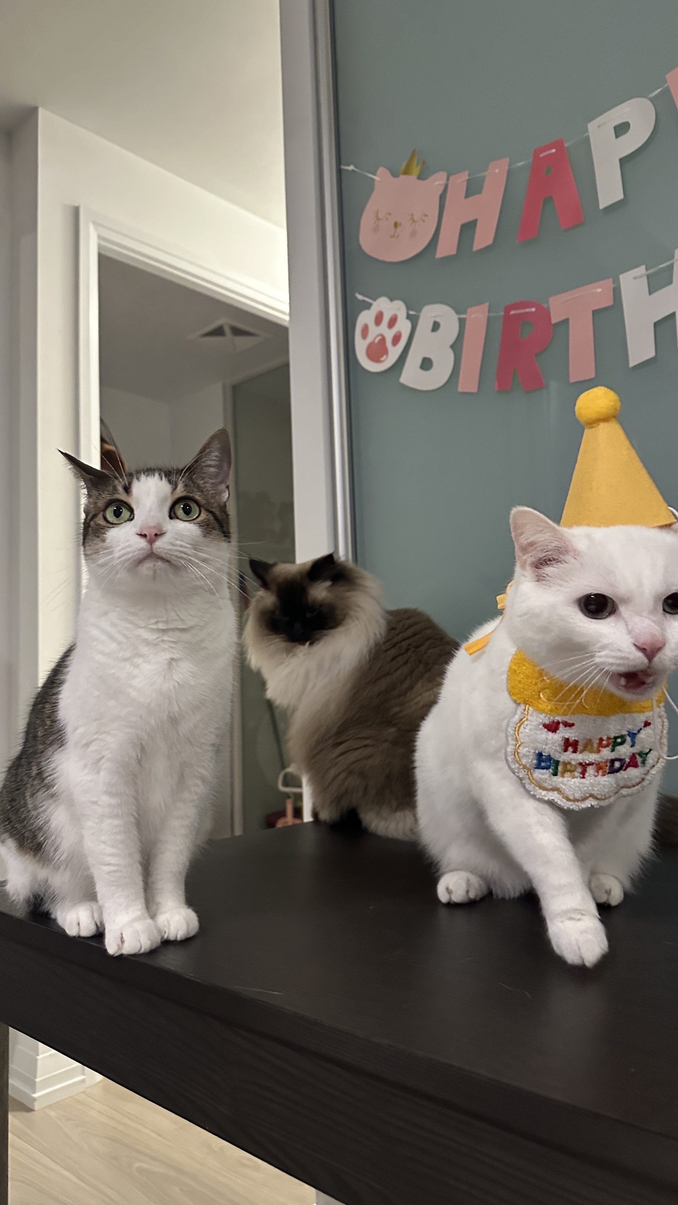 image-47