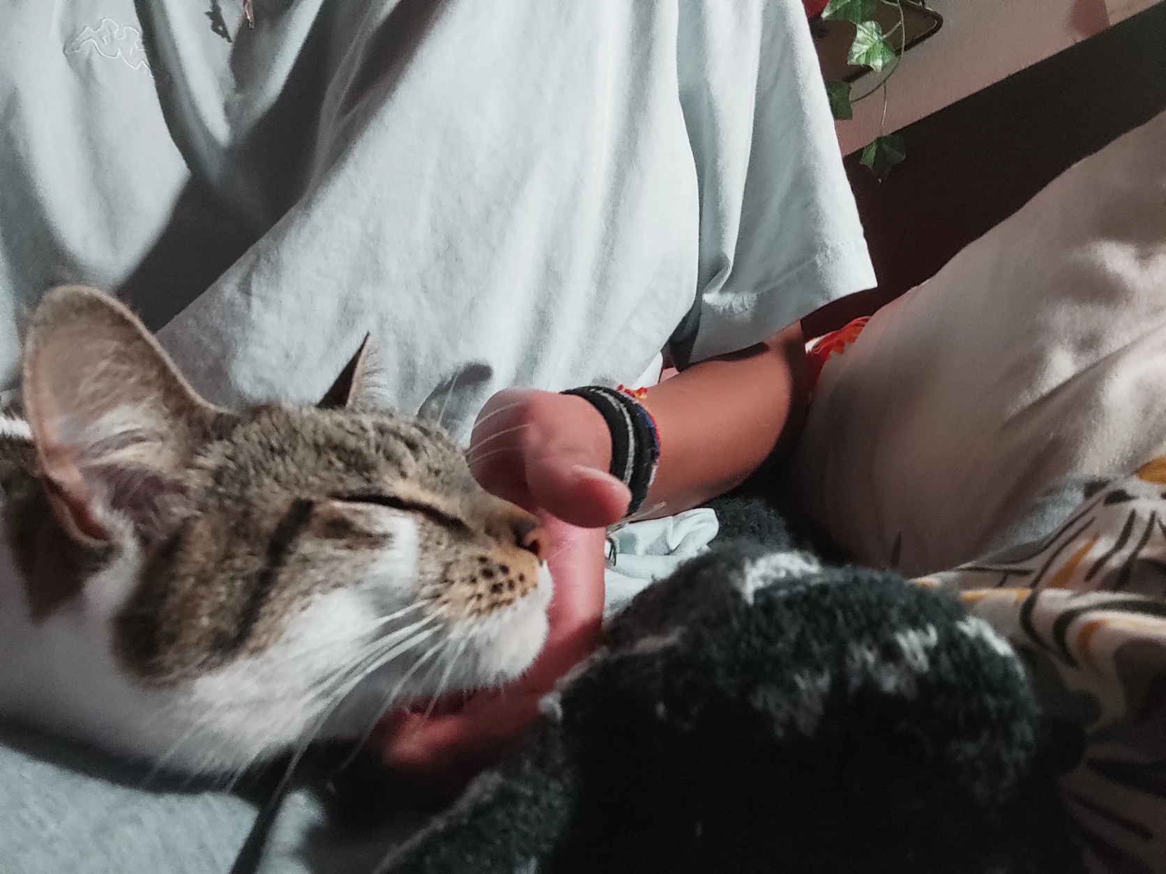 image-5