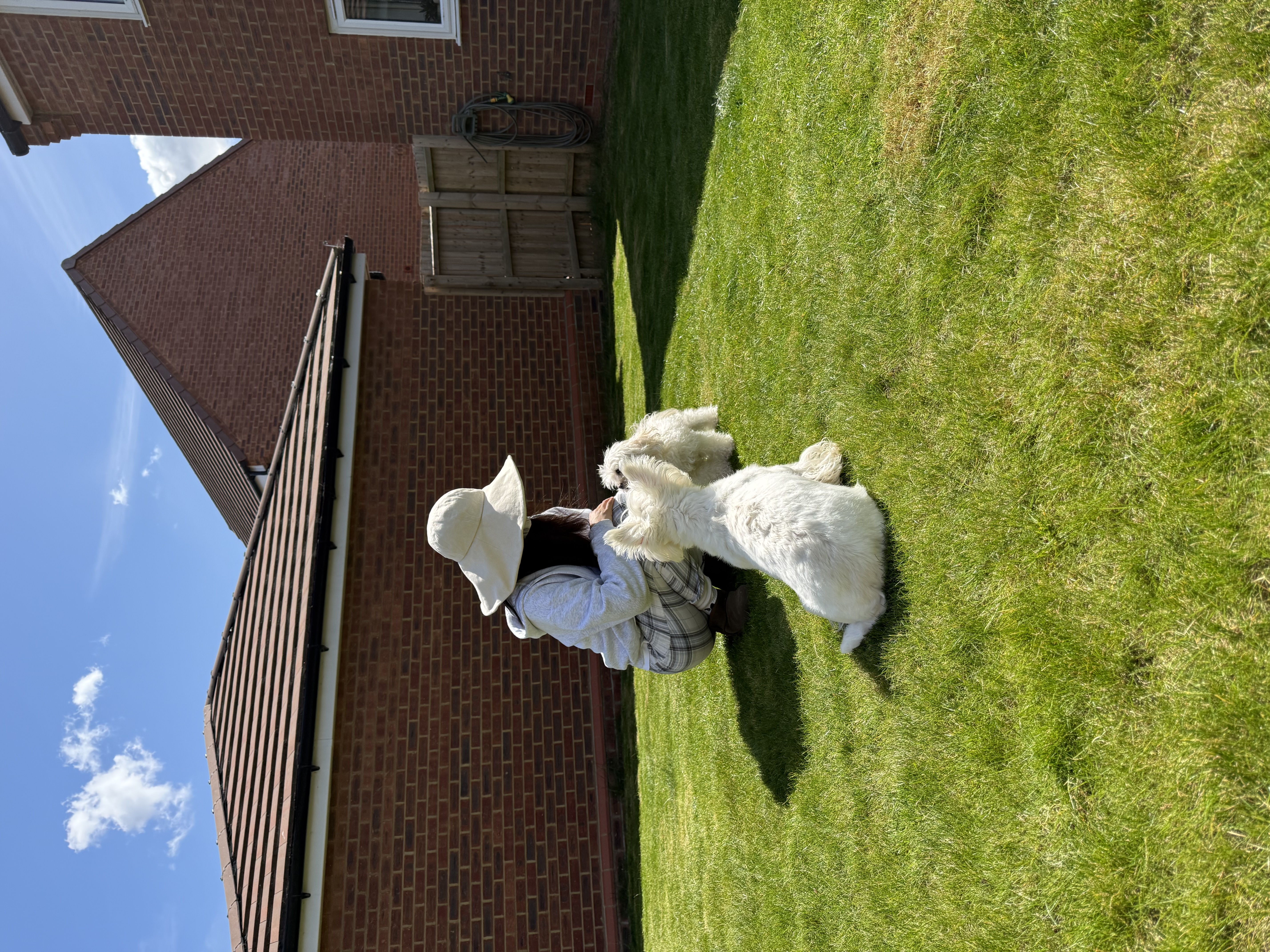 image-16