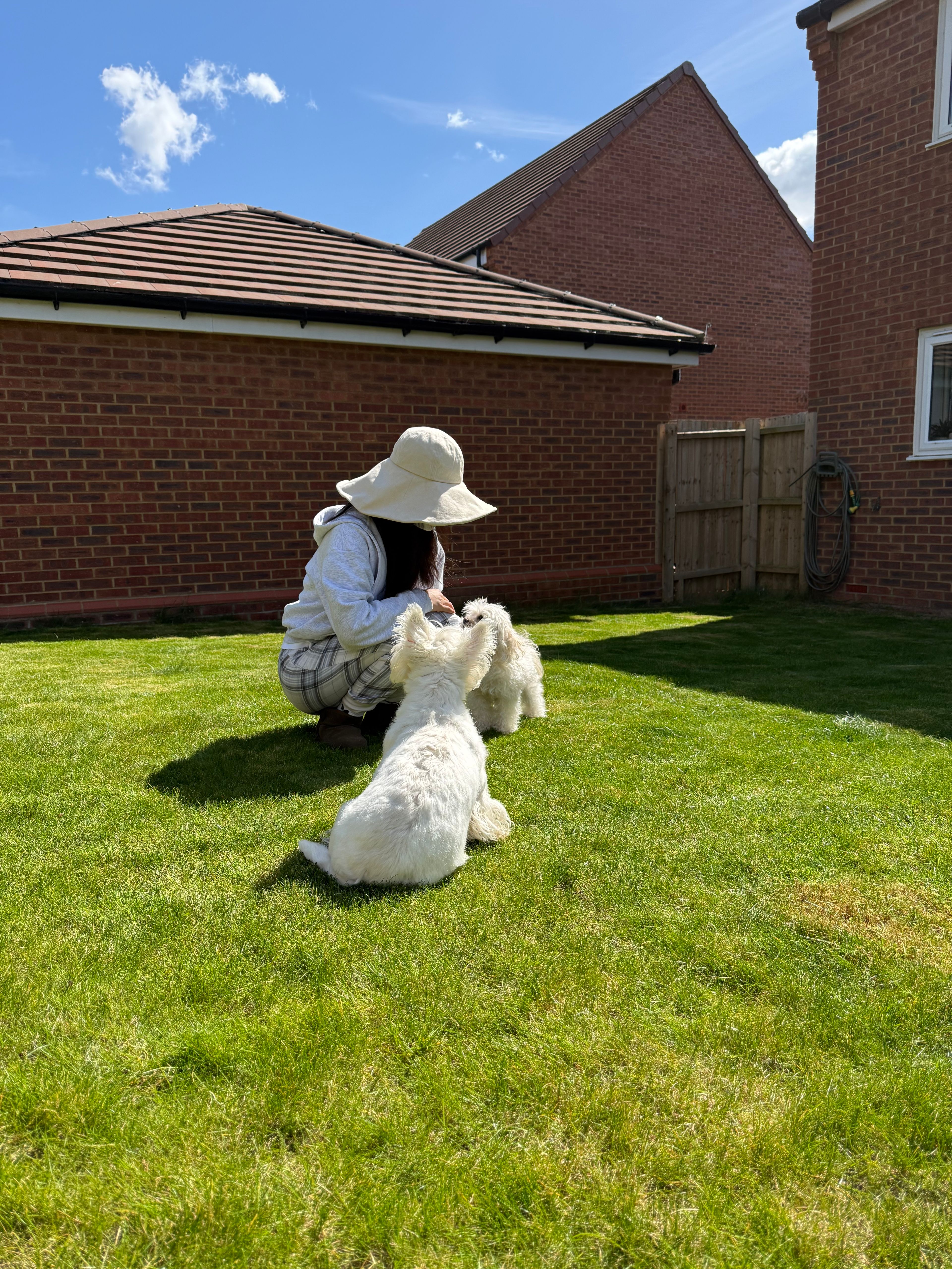 image-16