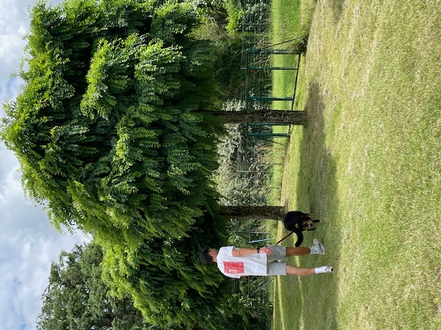 image-10