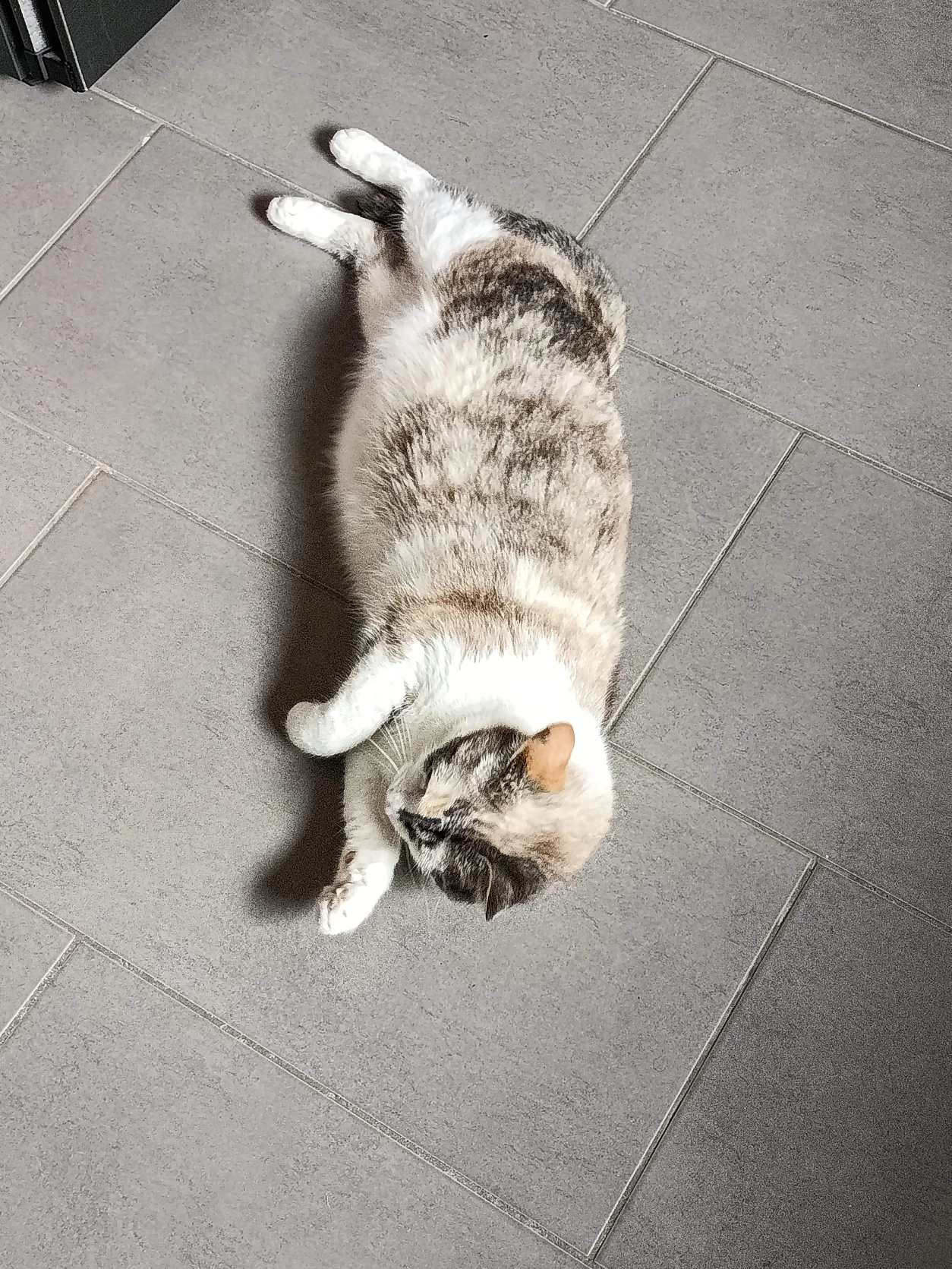 image-11