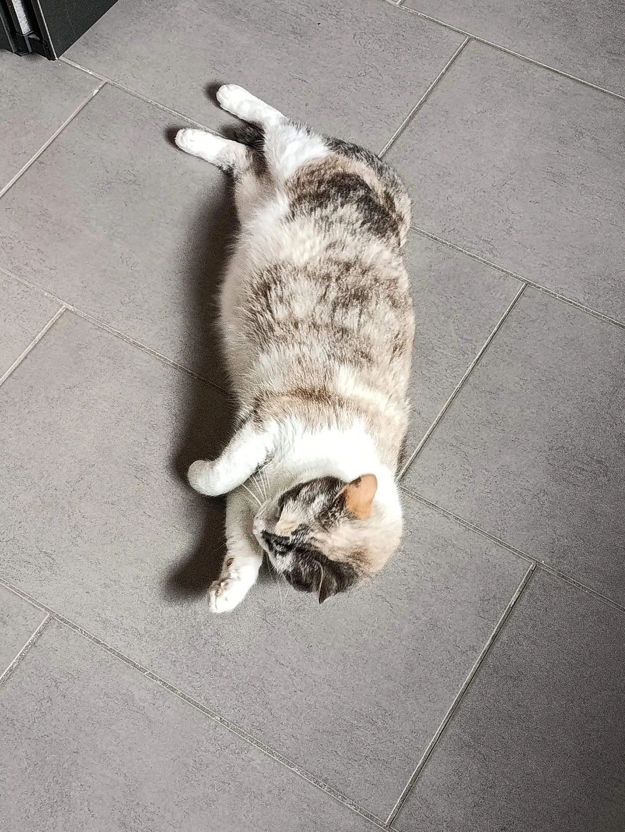 image-11