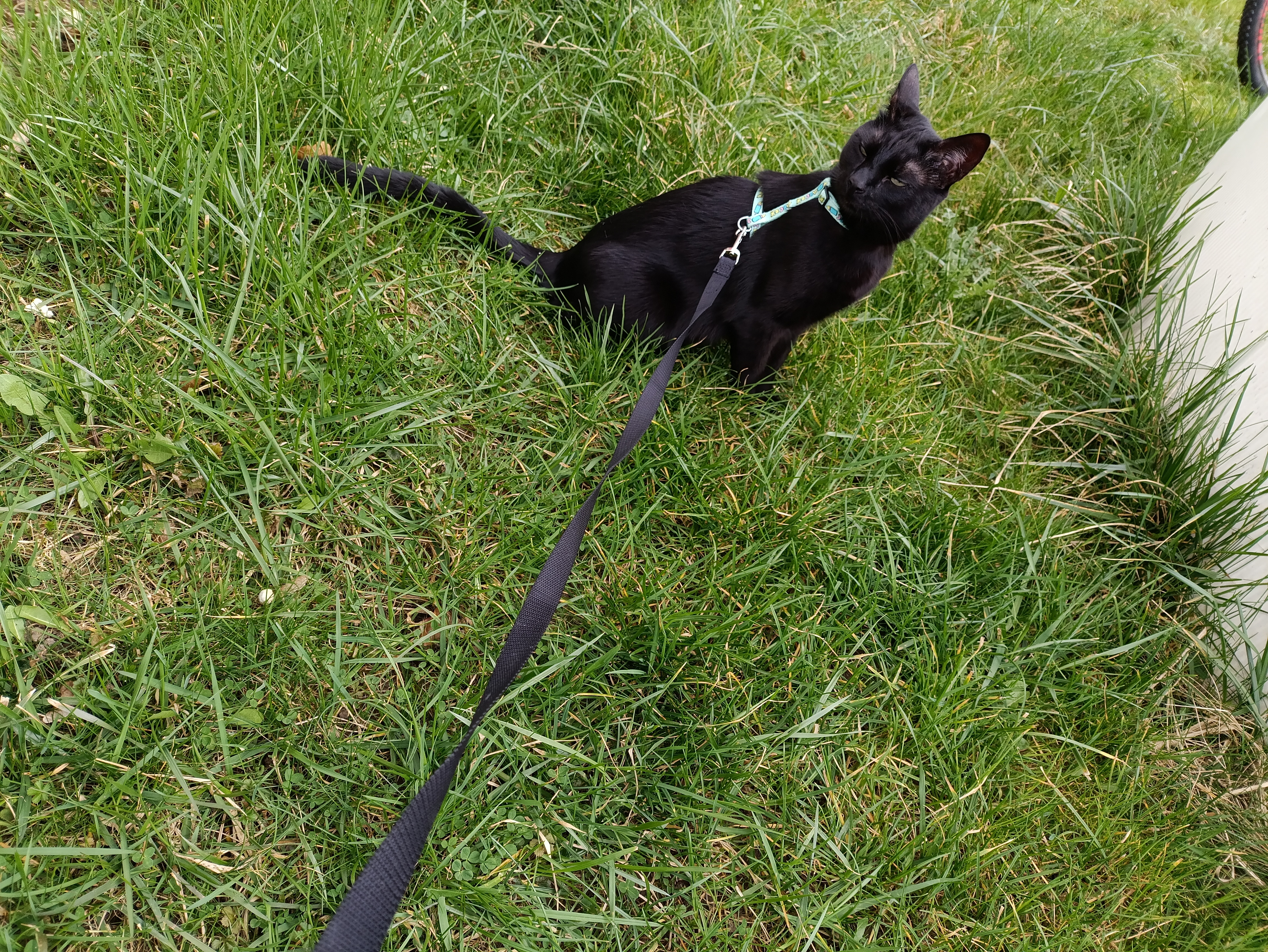 image-7