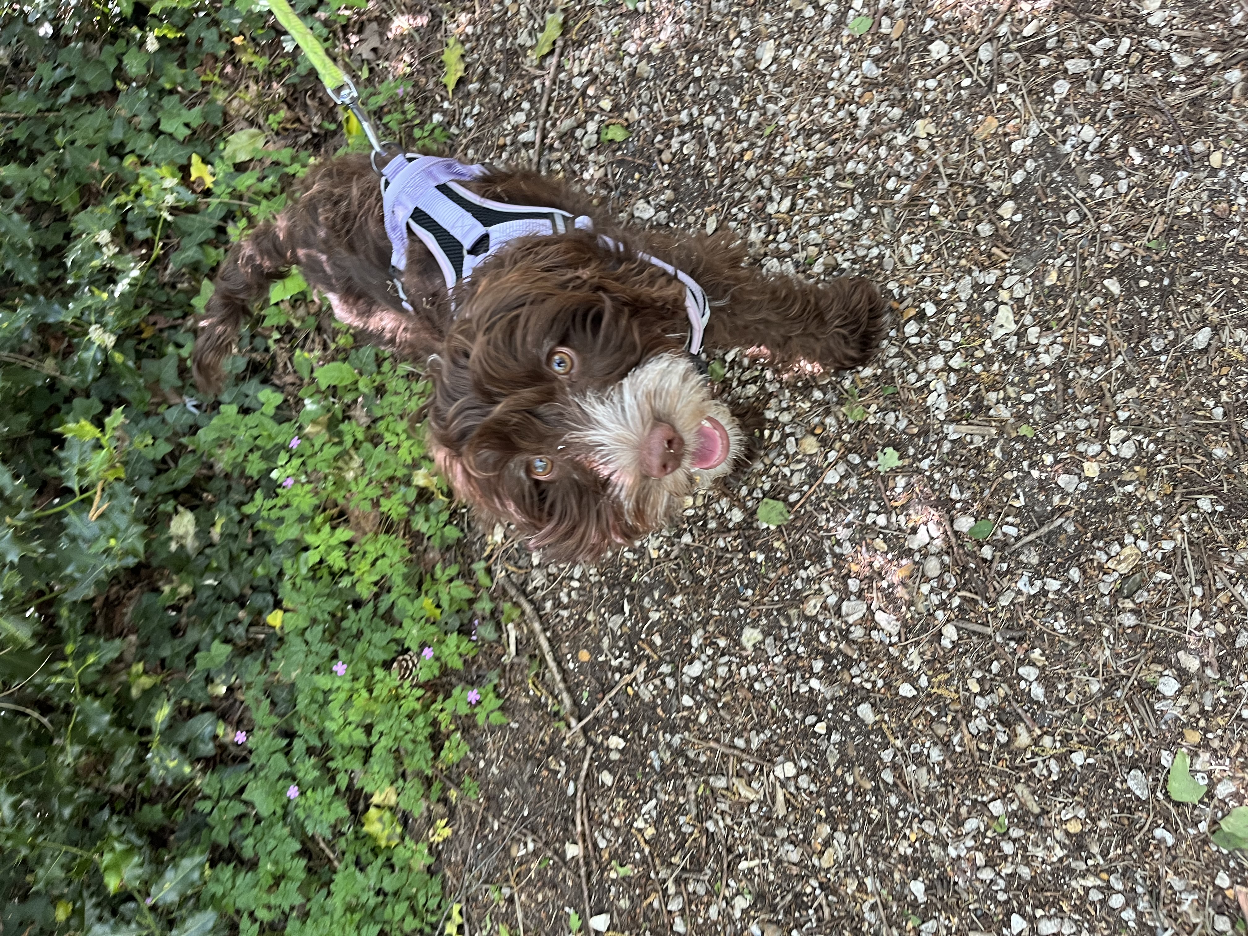 image-7