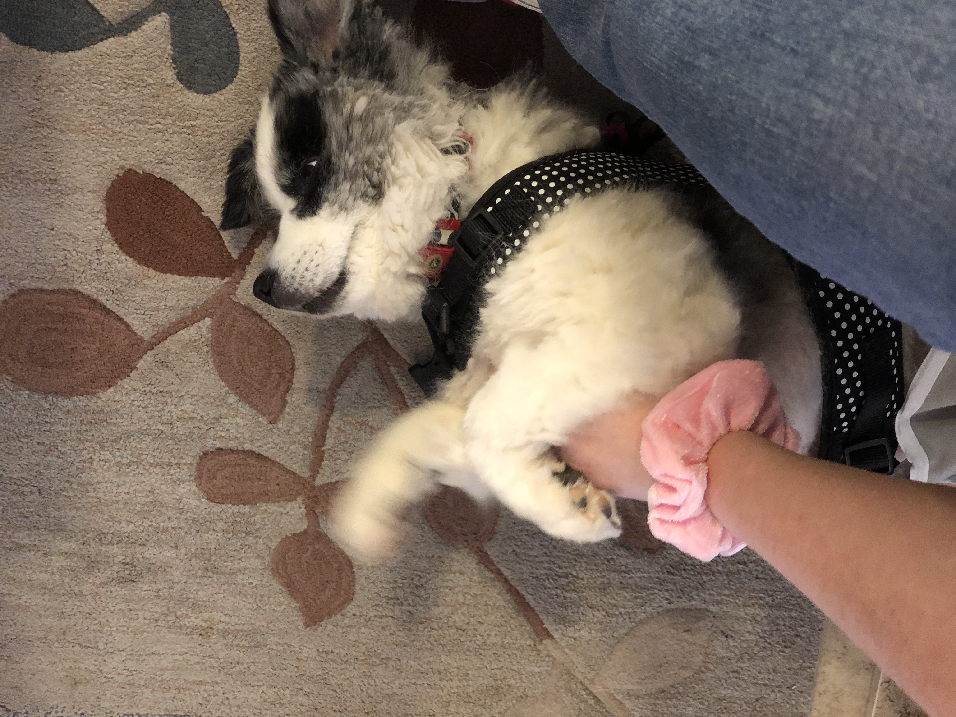 image-6
