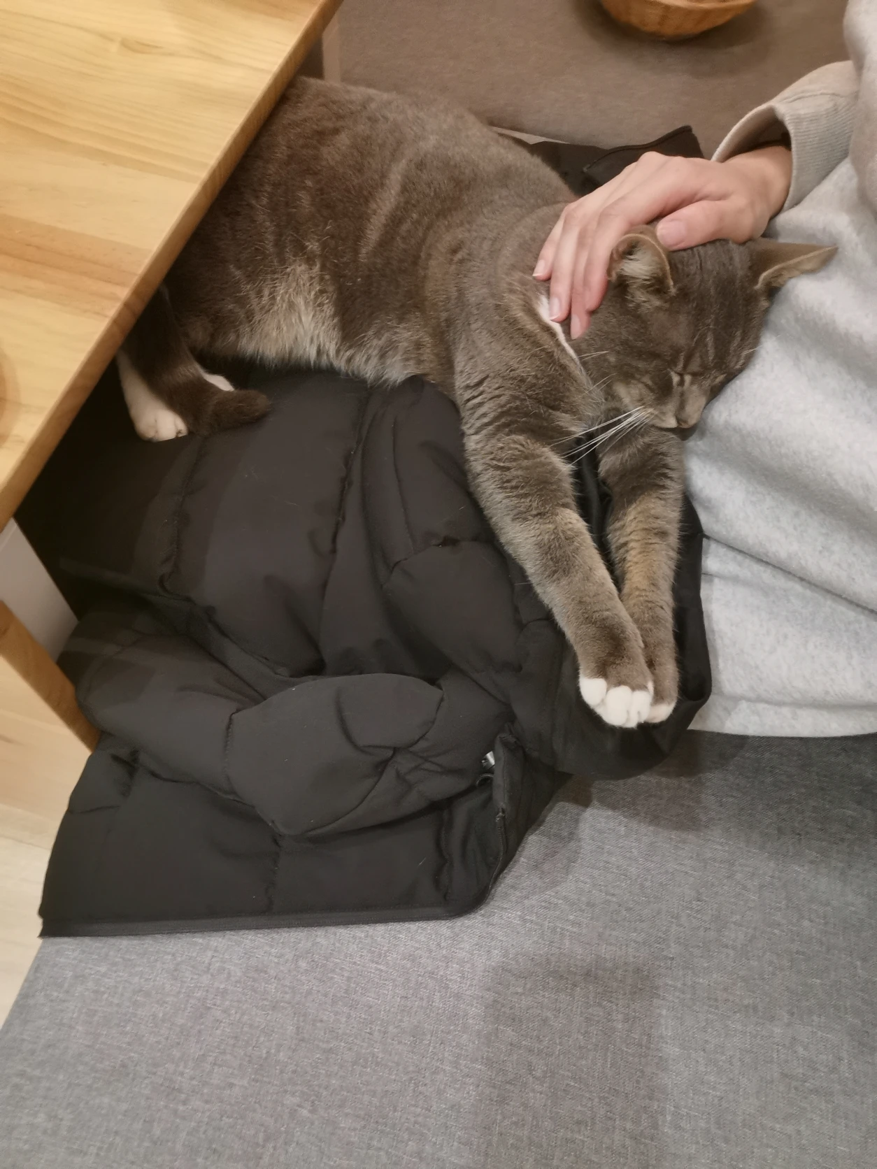 image-8