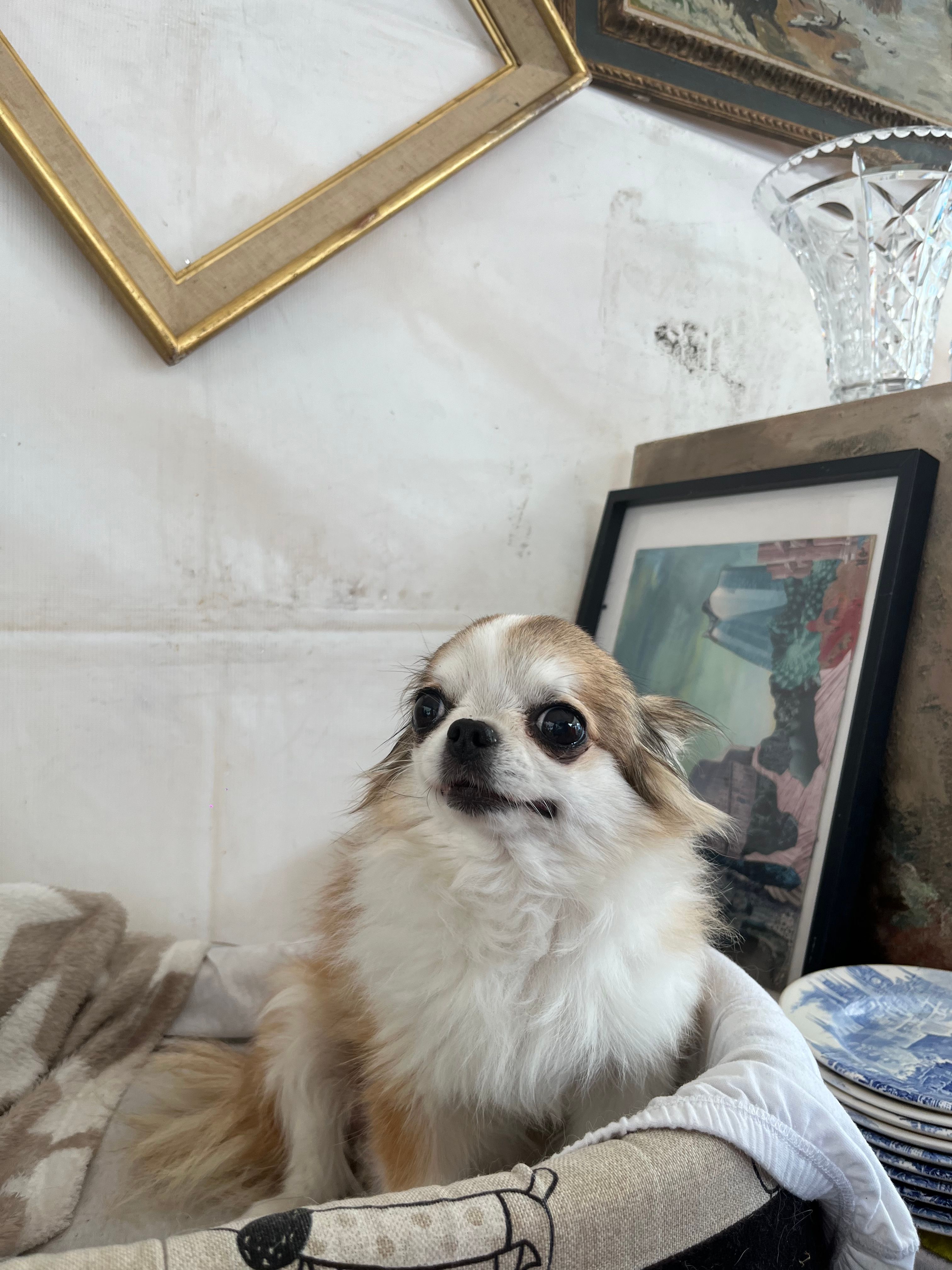 image-12