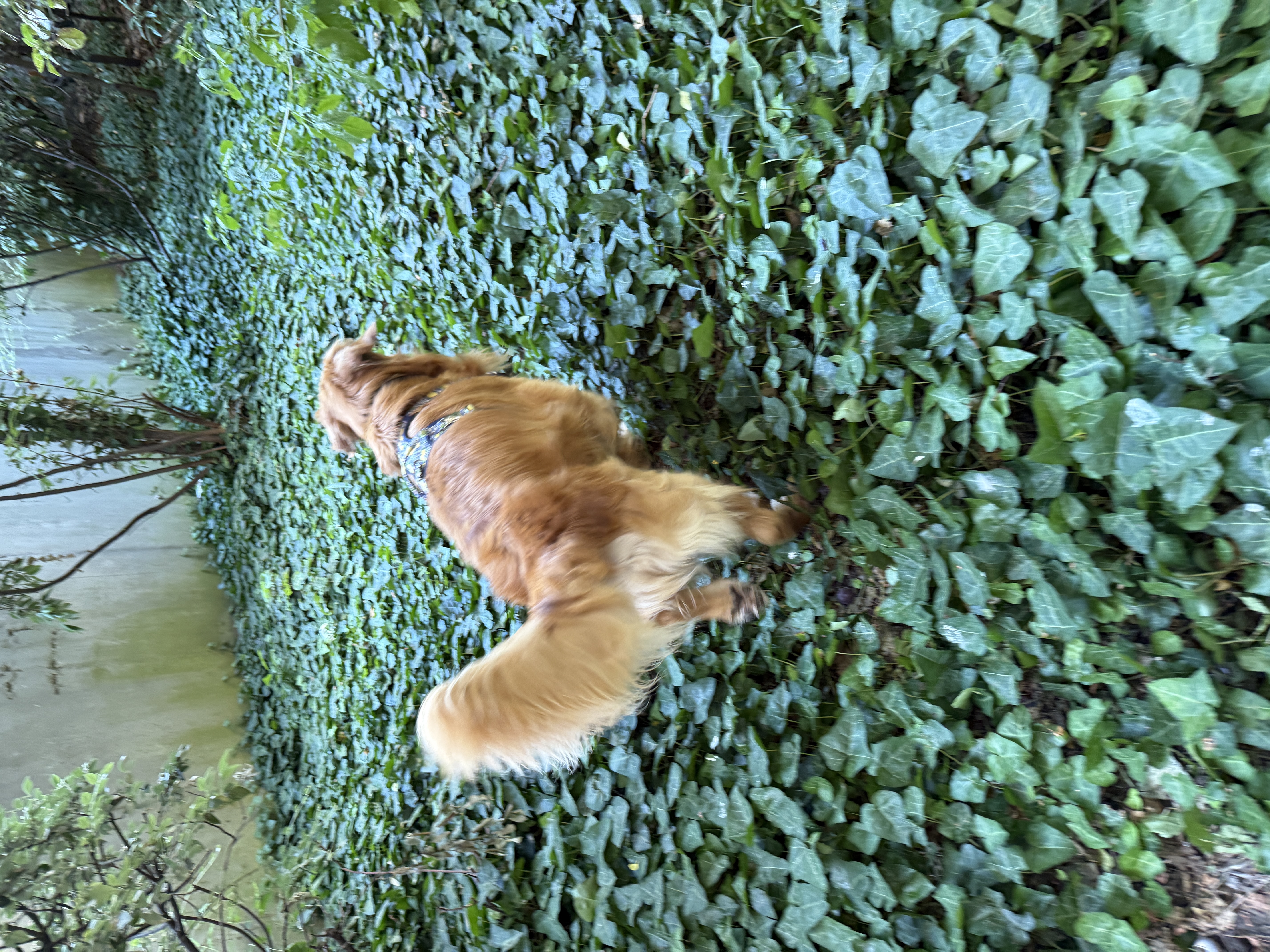 image-16