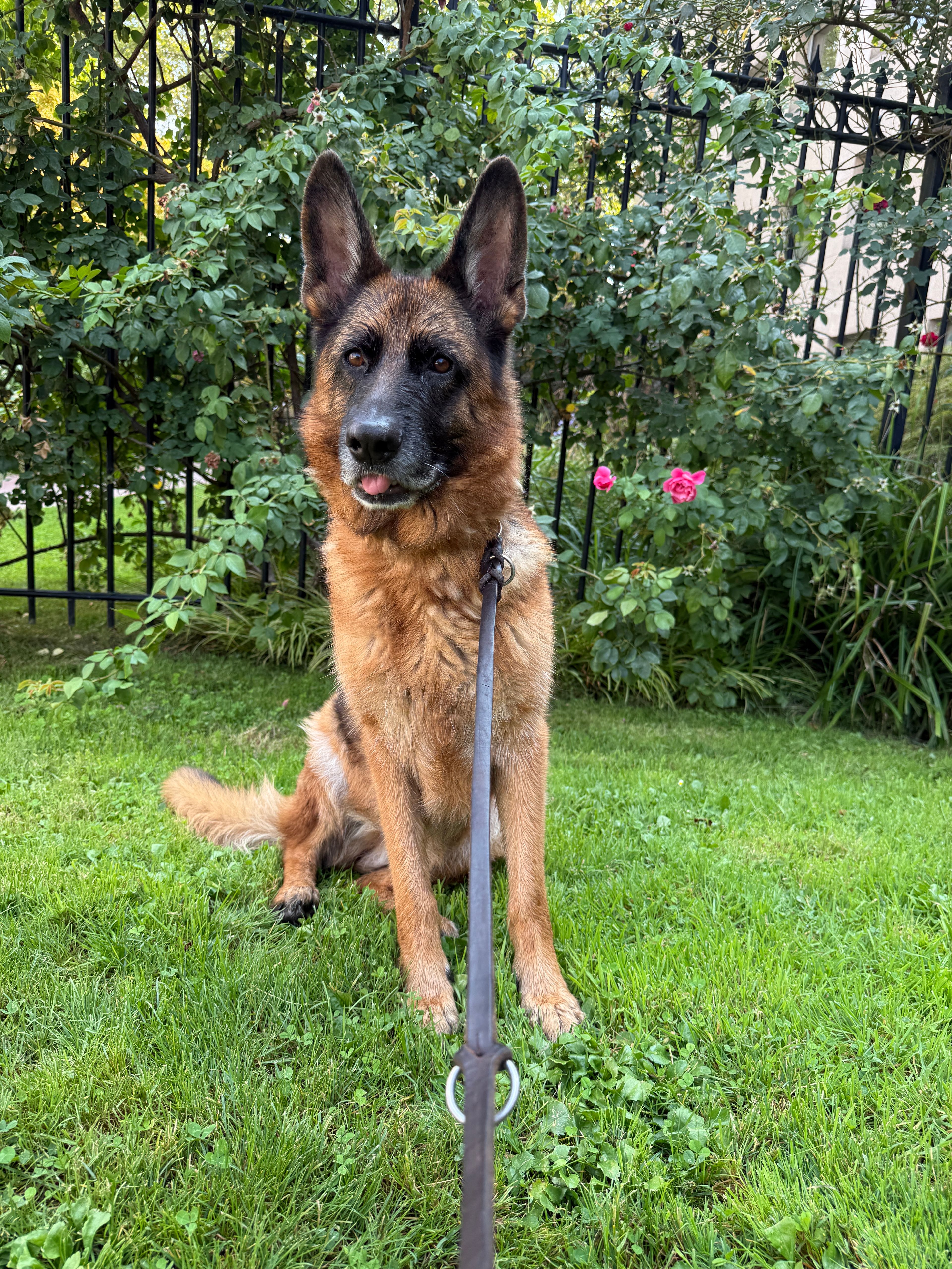 image-20