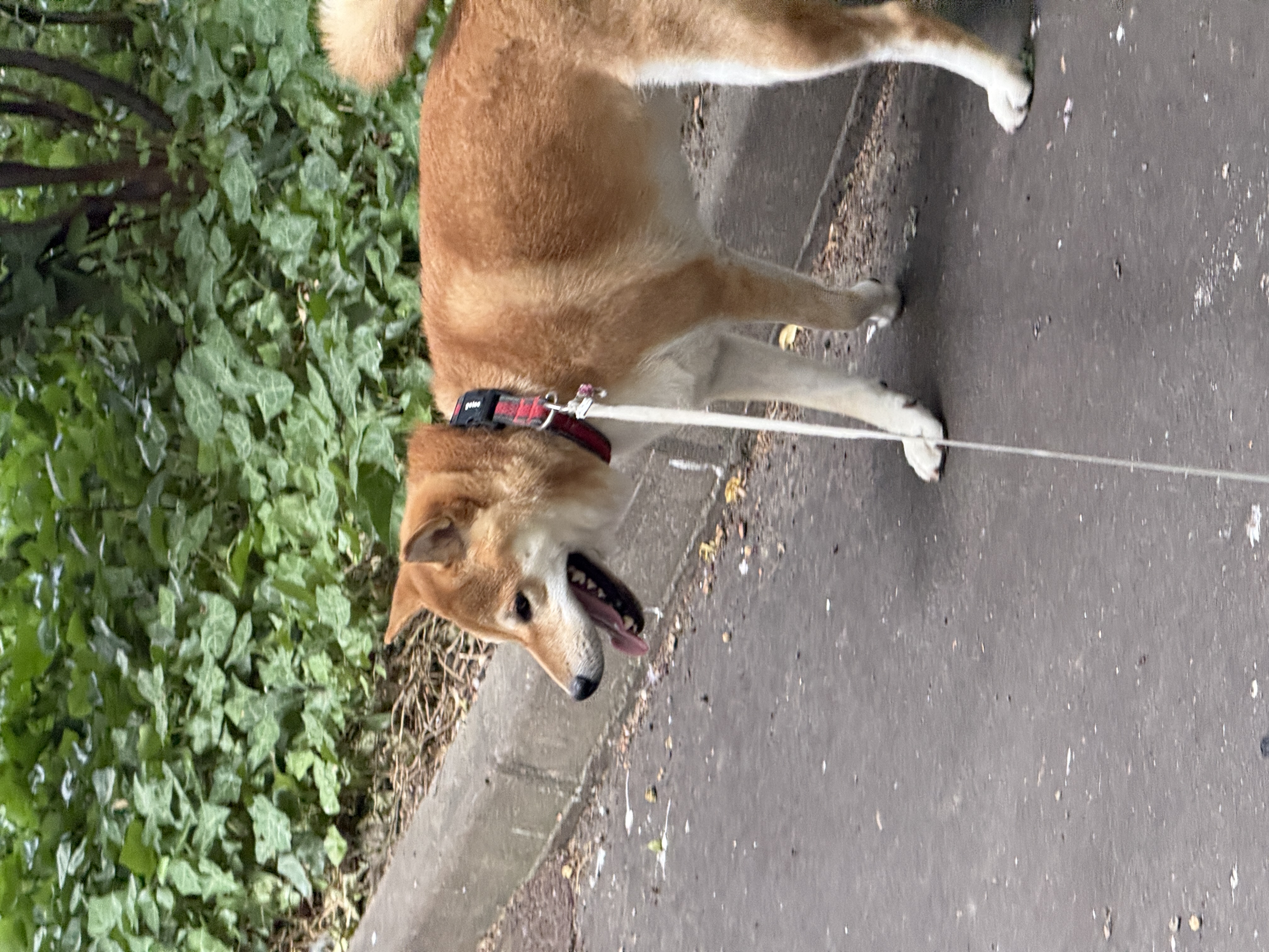 image-18