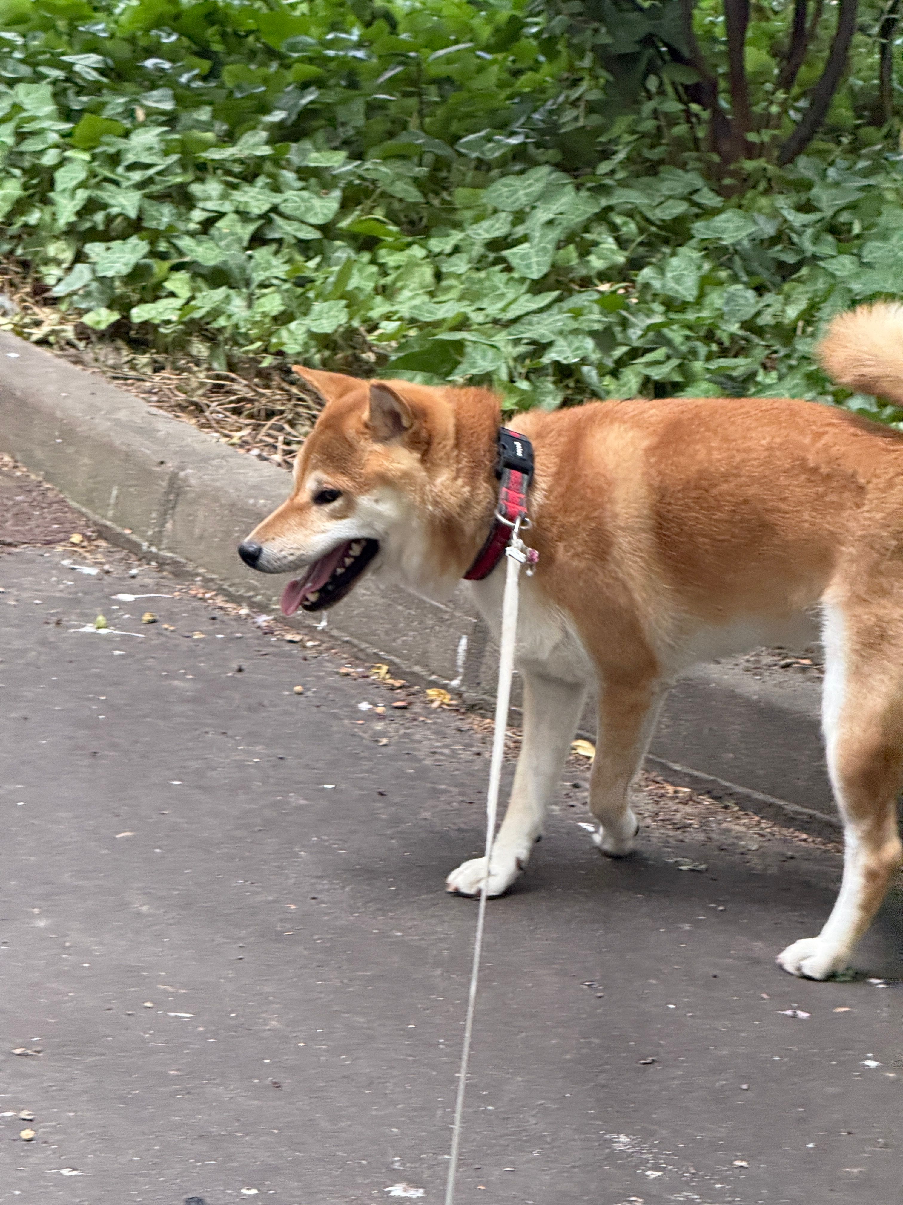 image-18