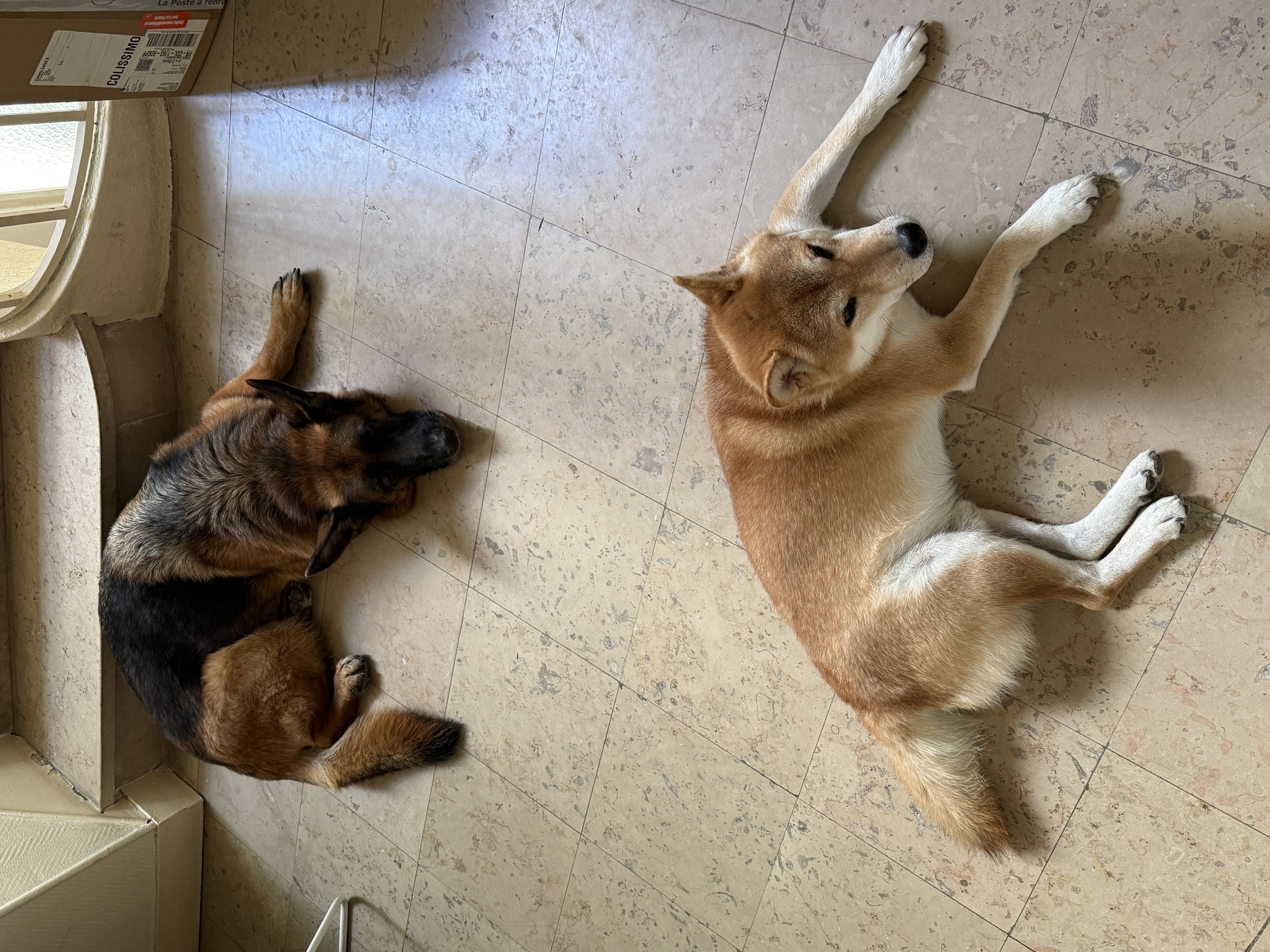 image-16