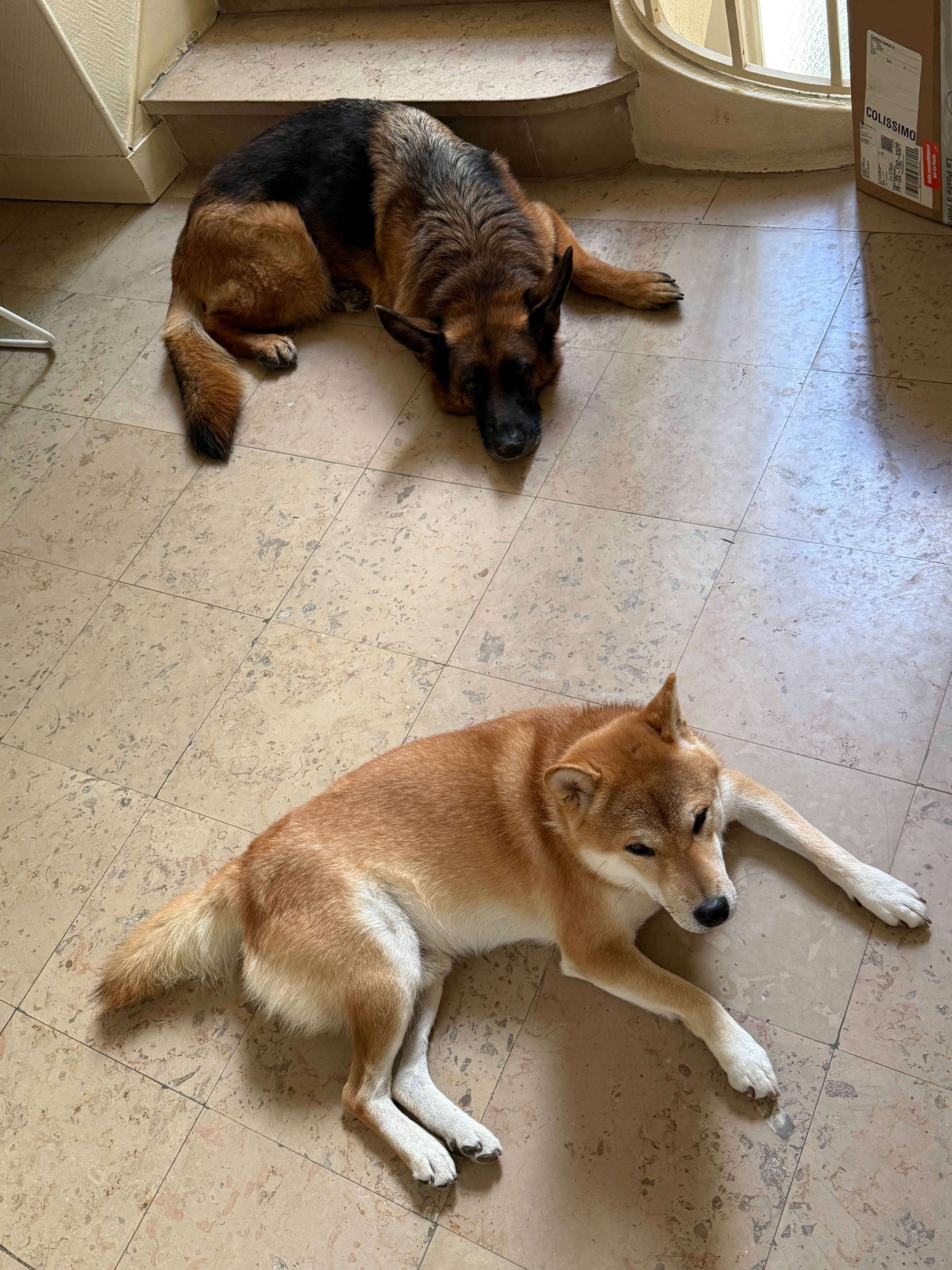 image-16
