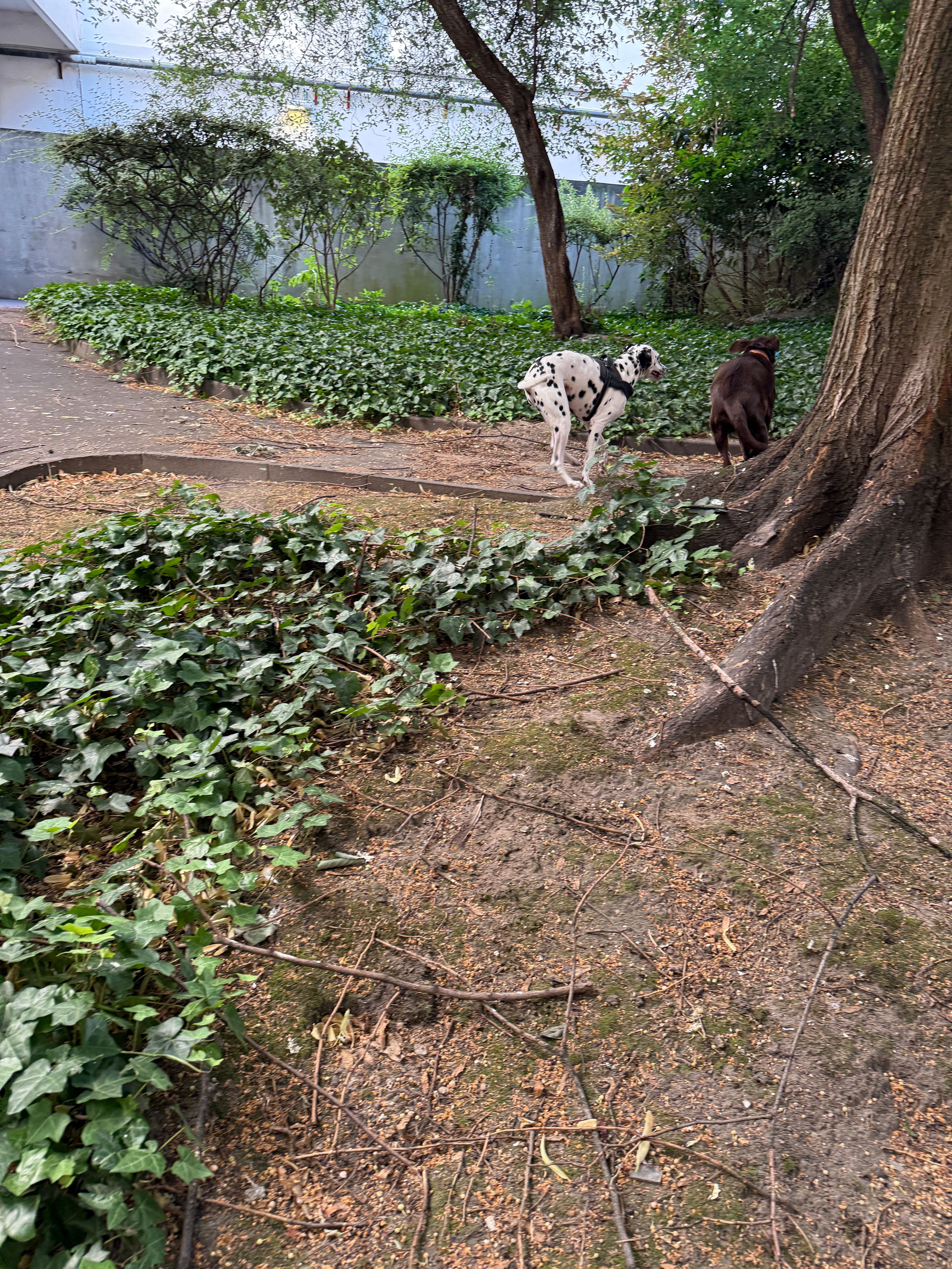 image-13