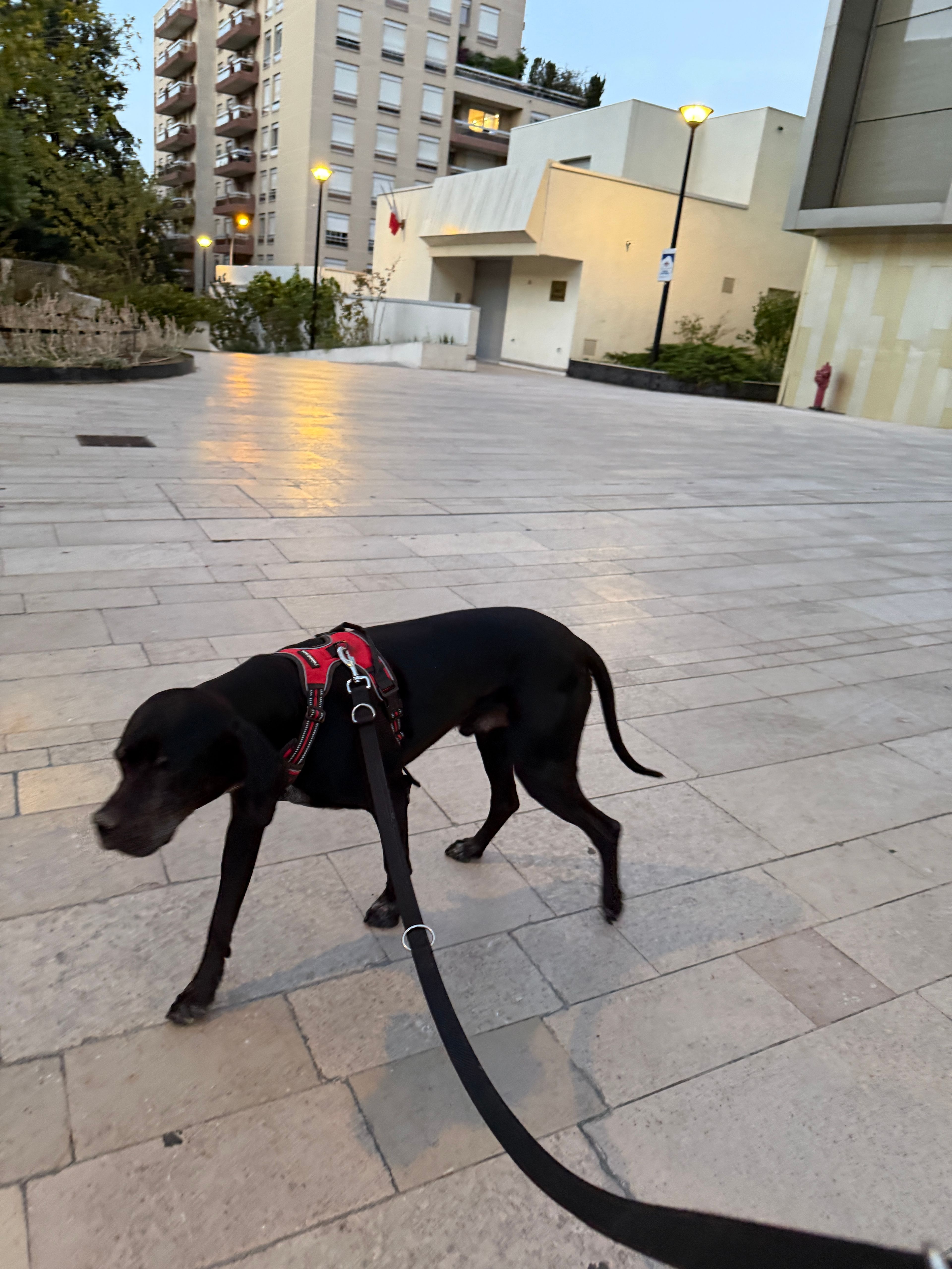 image-10