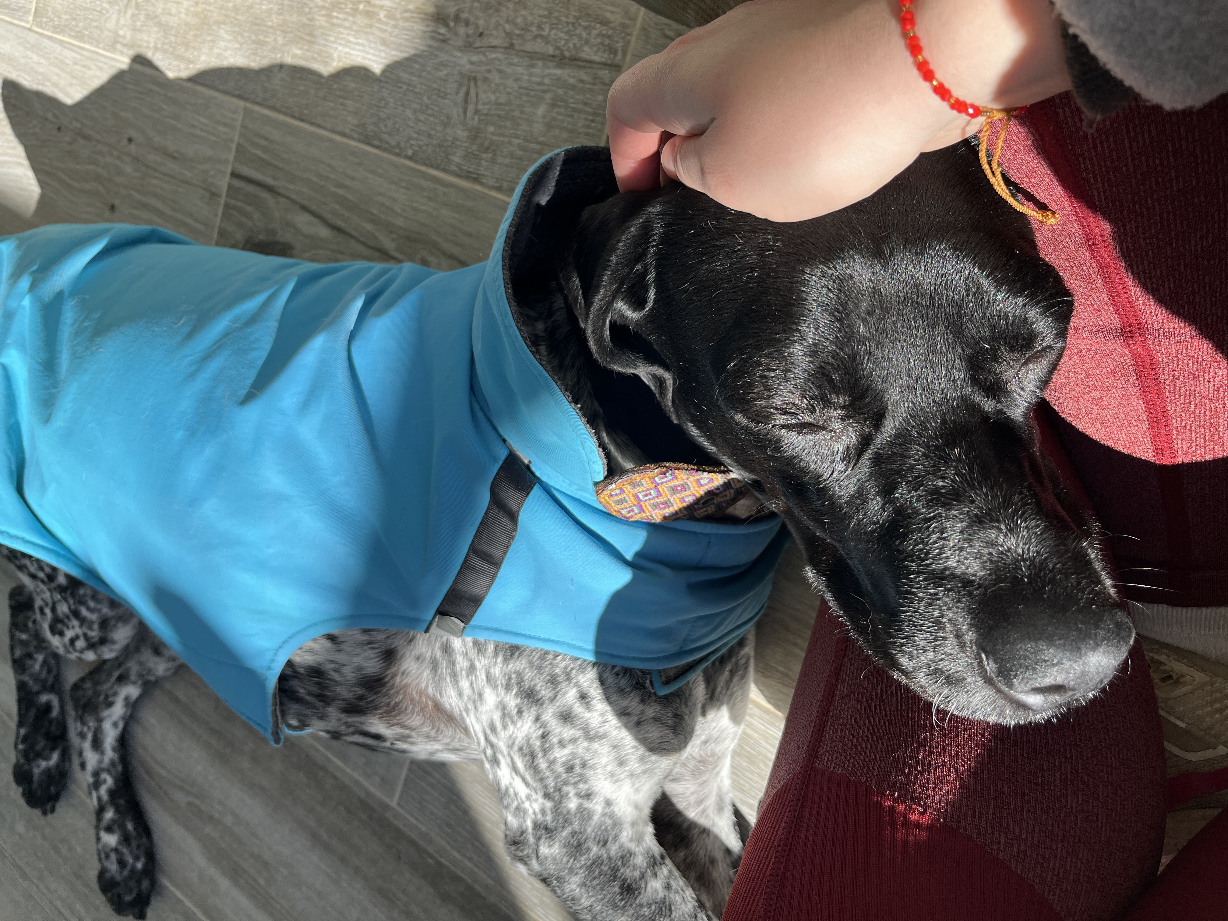 image-11