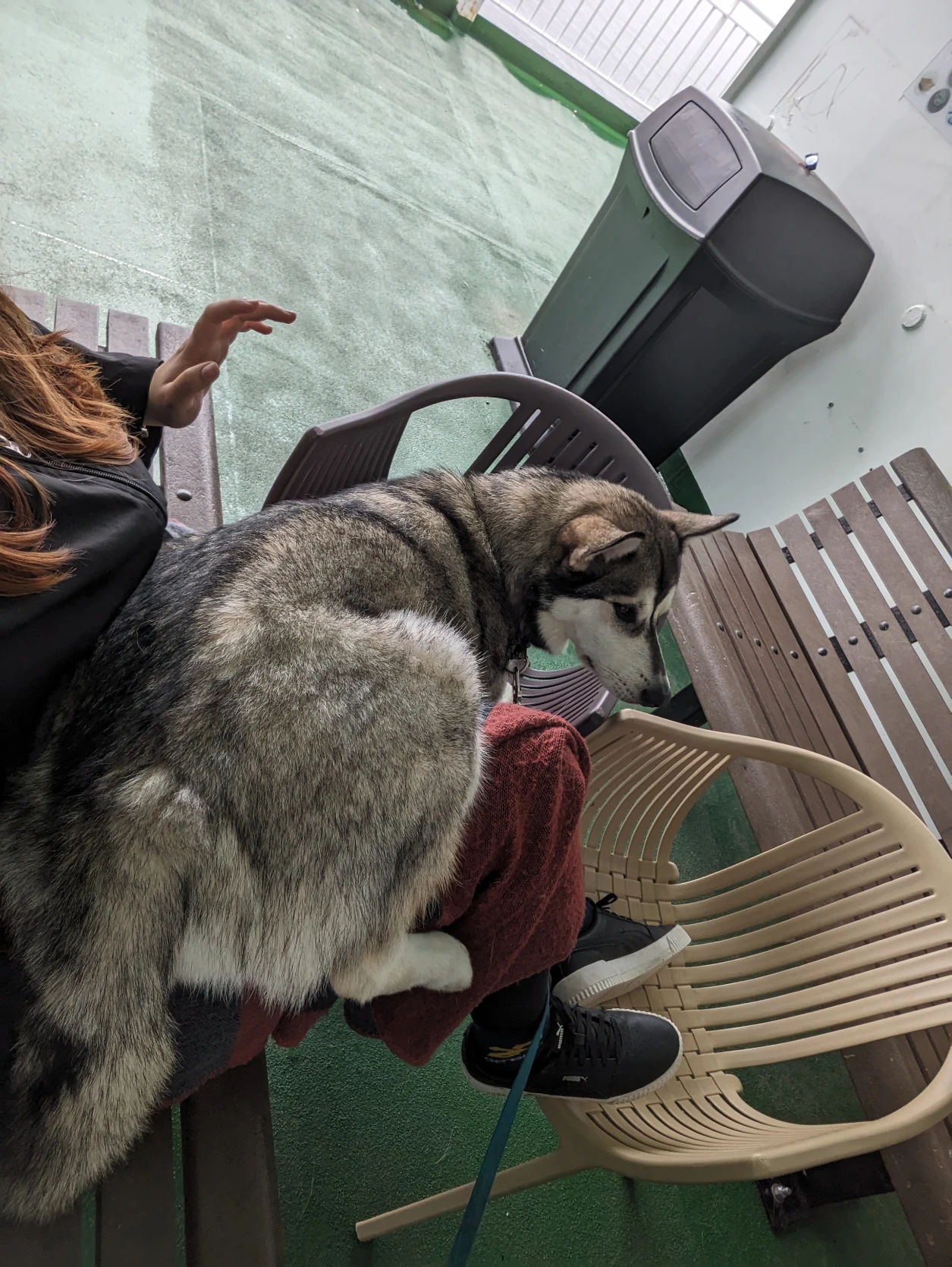 image-6