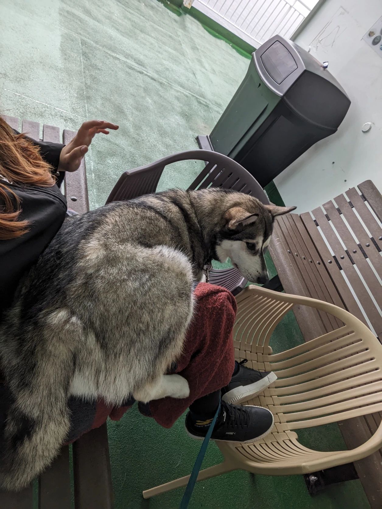 image-6