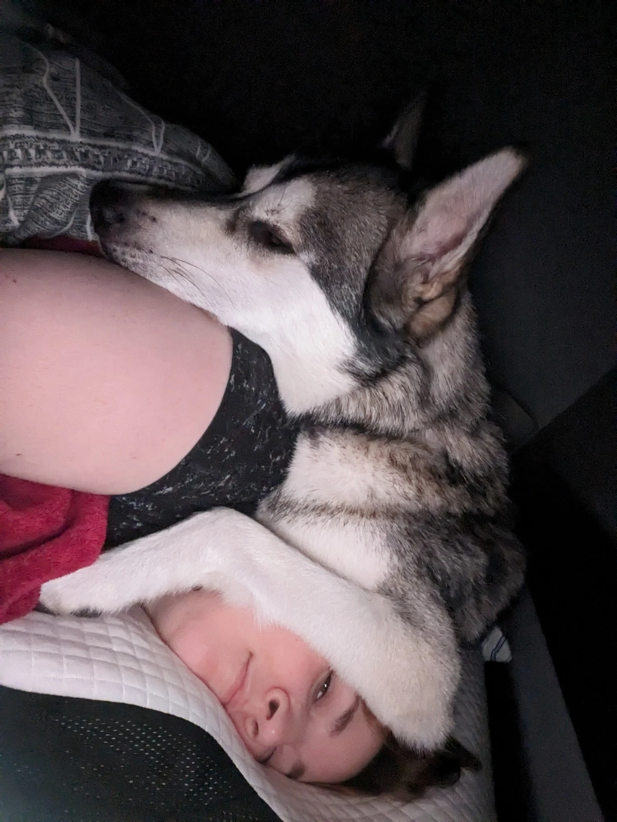 image-7