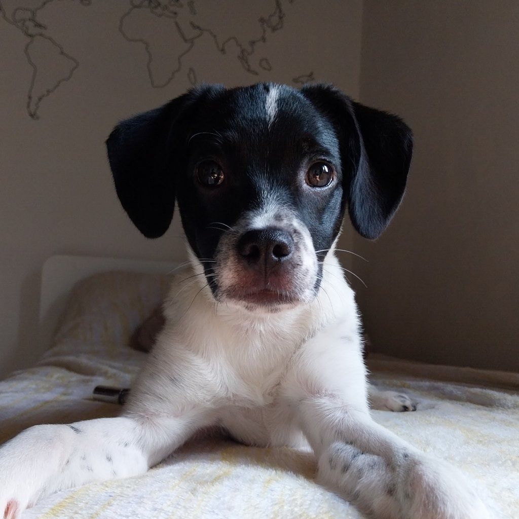 Chloe