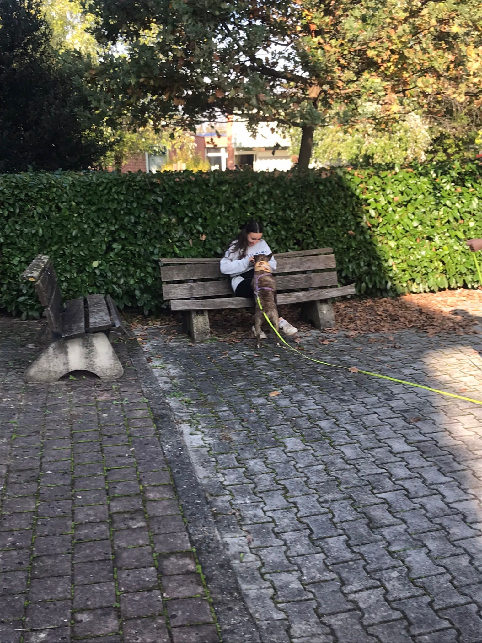 image-14