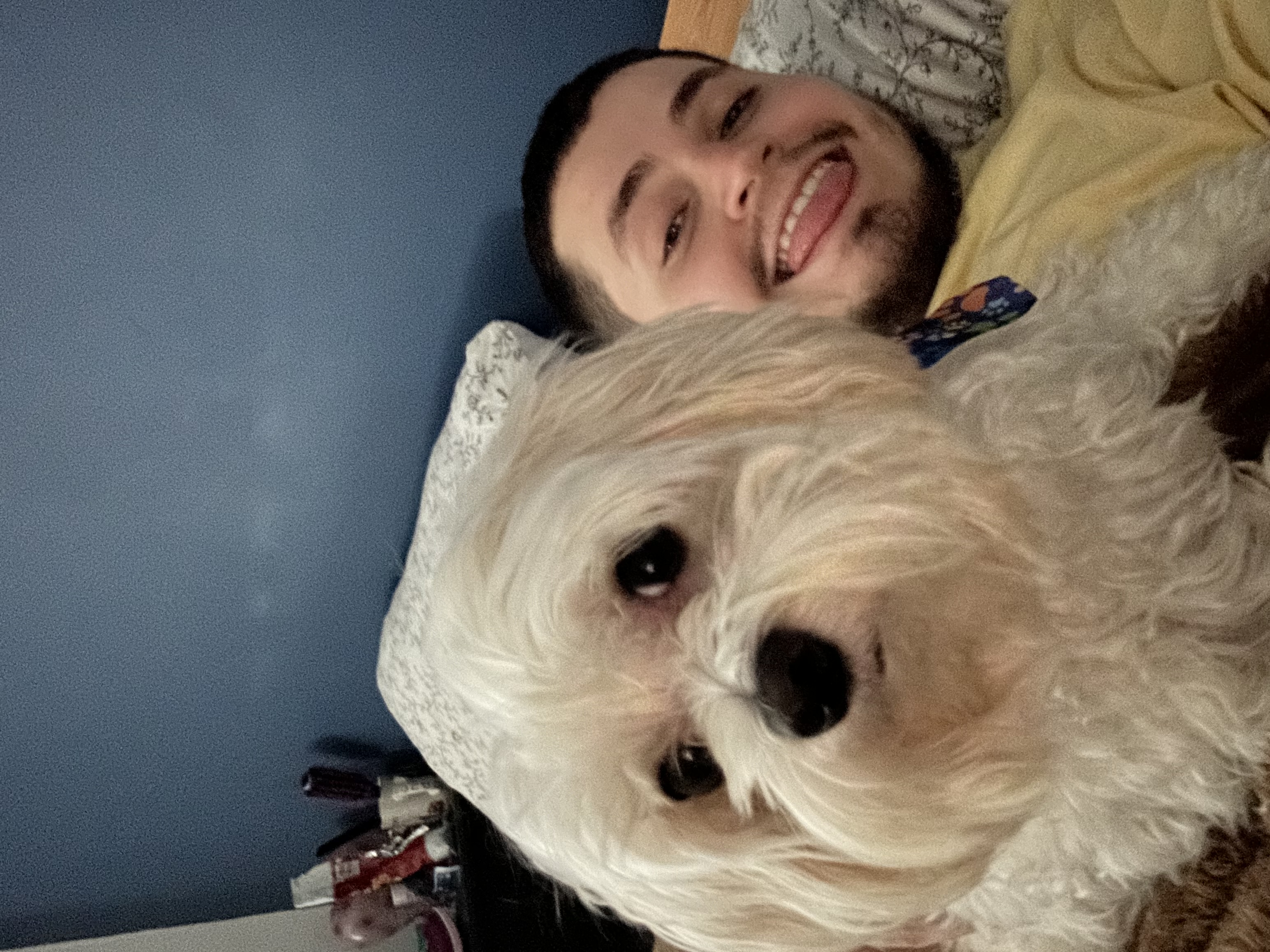 image-8