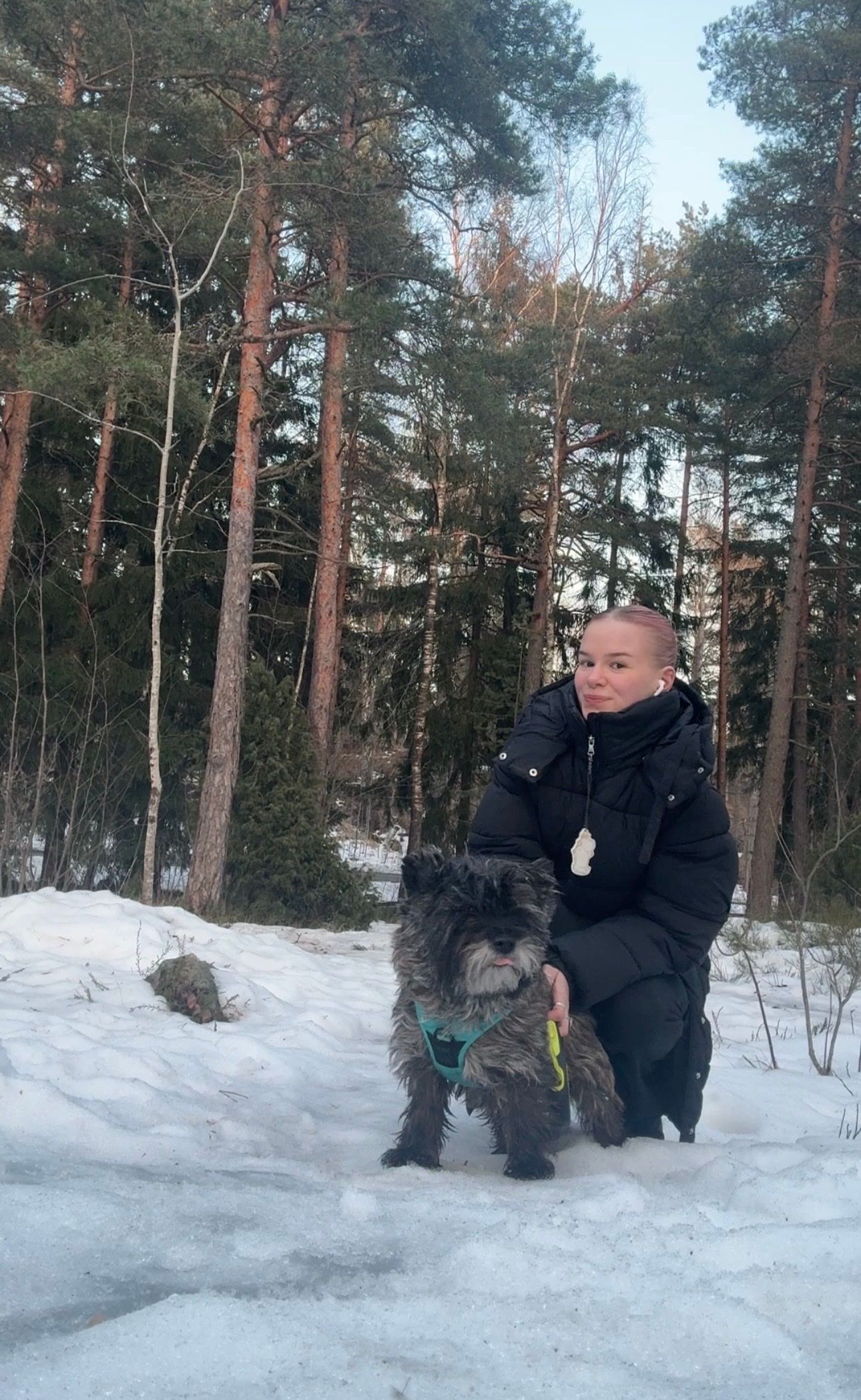 image-1