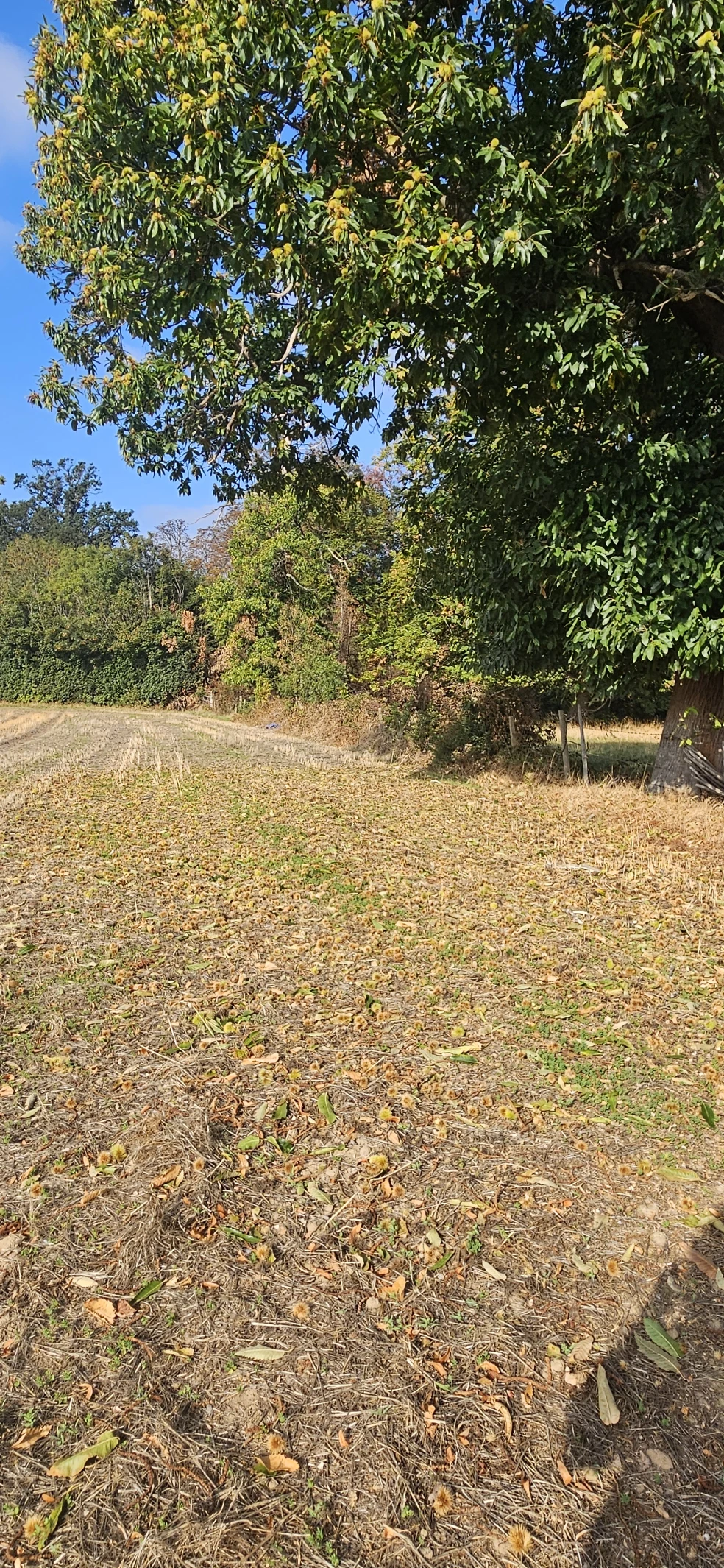 image-15