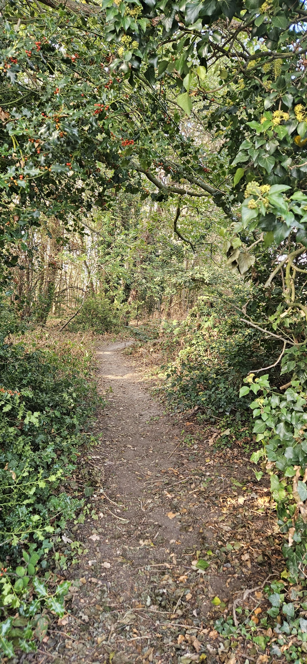 image-14