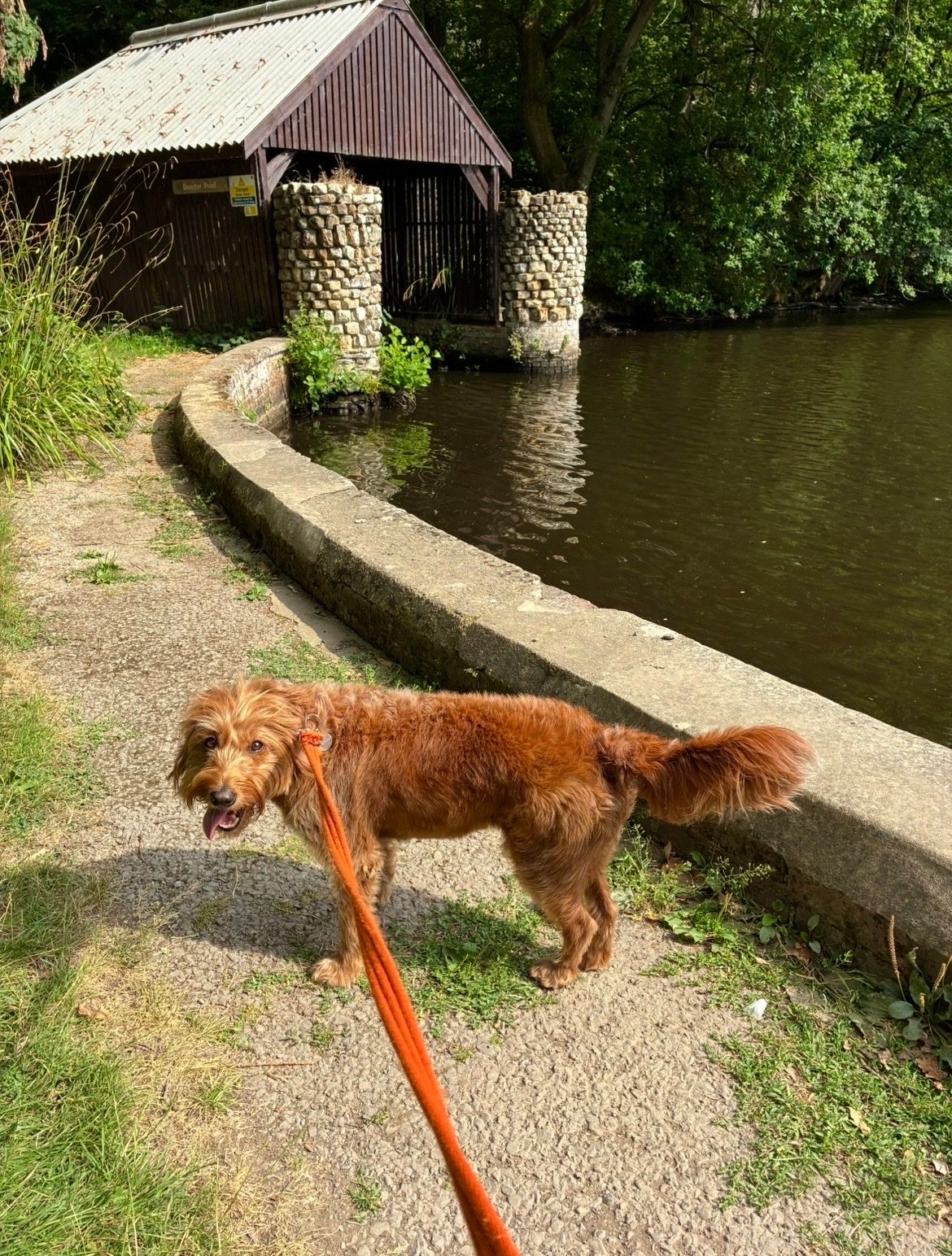 image-28