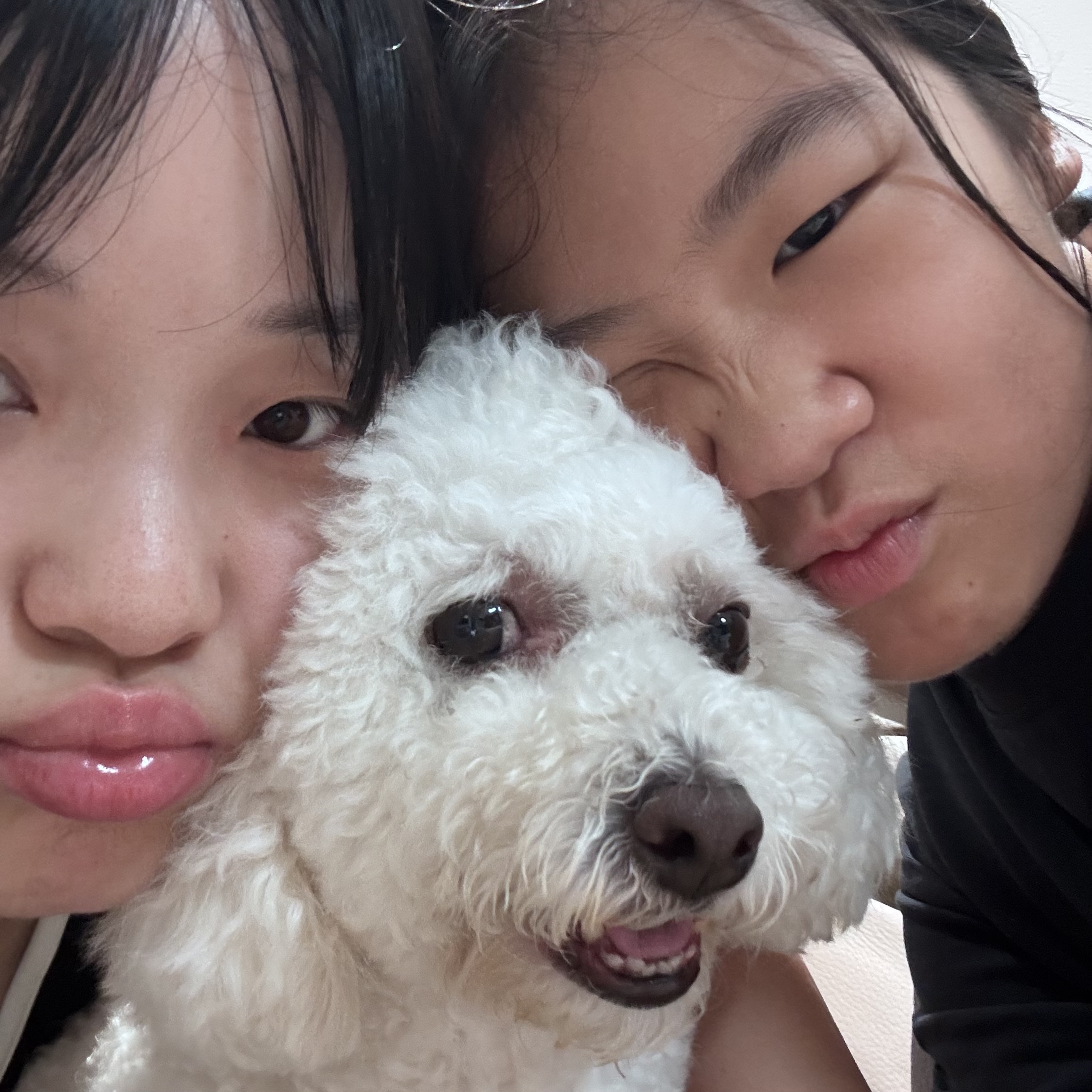 image-15