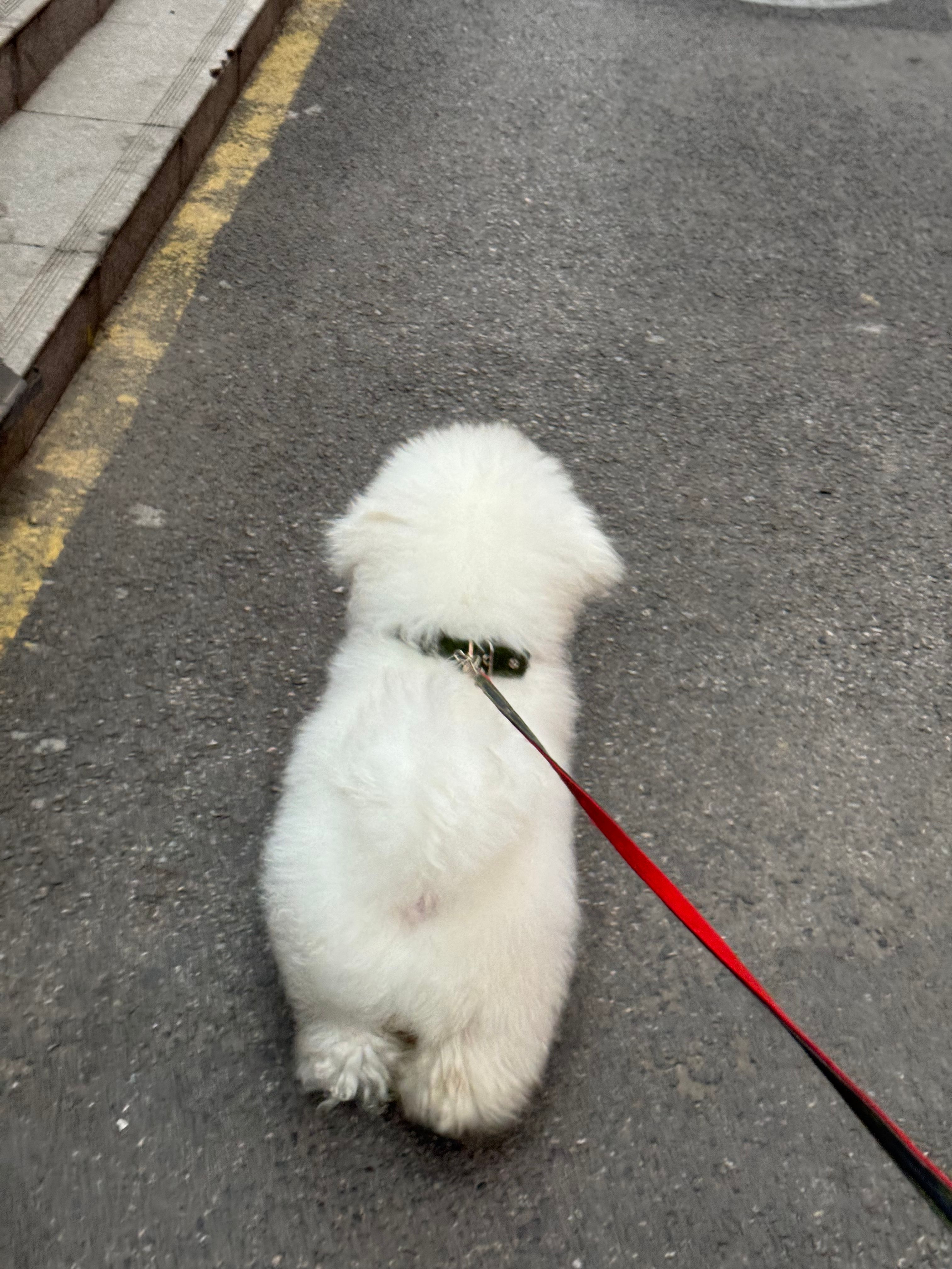 image-27