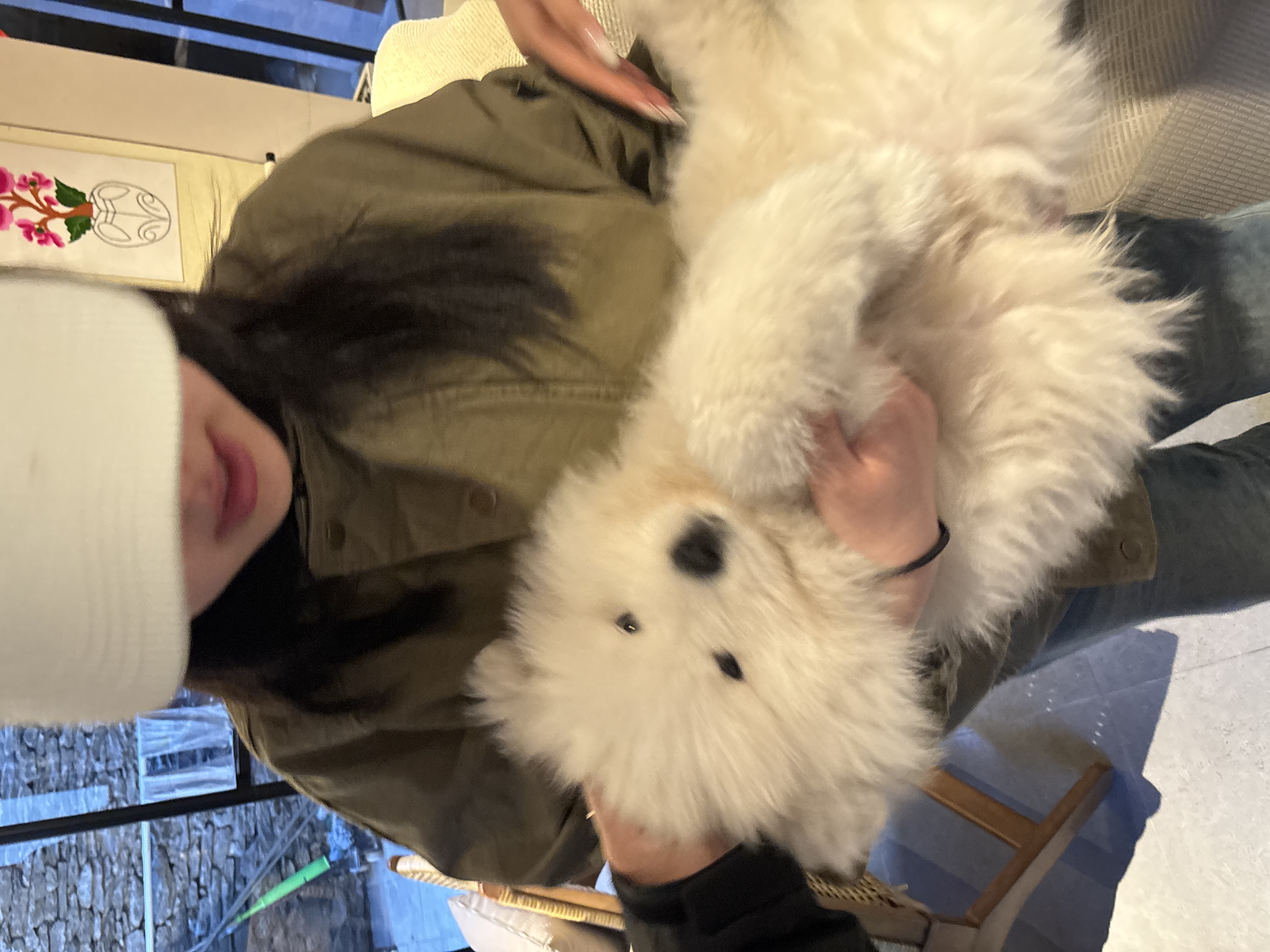 image-9