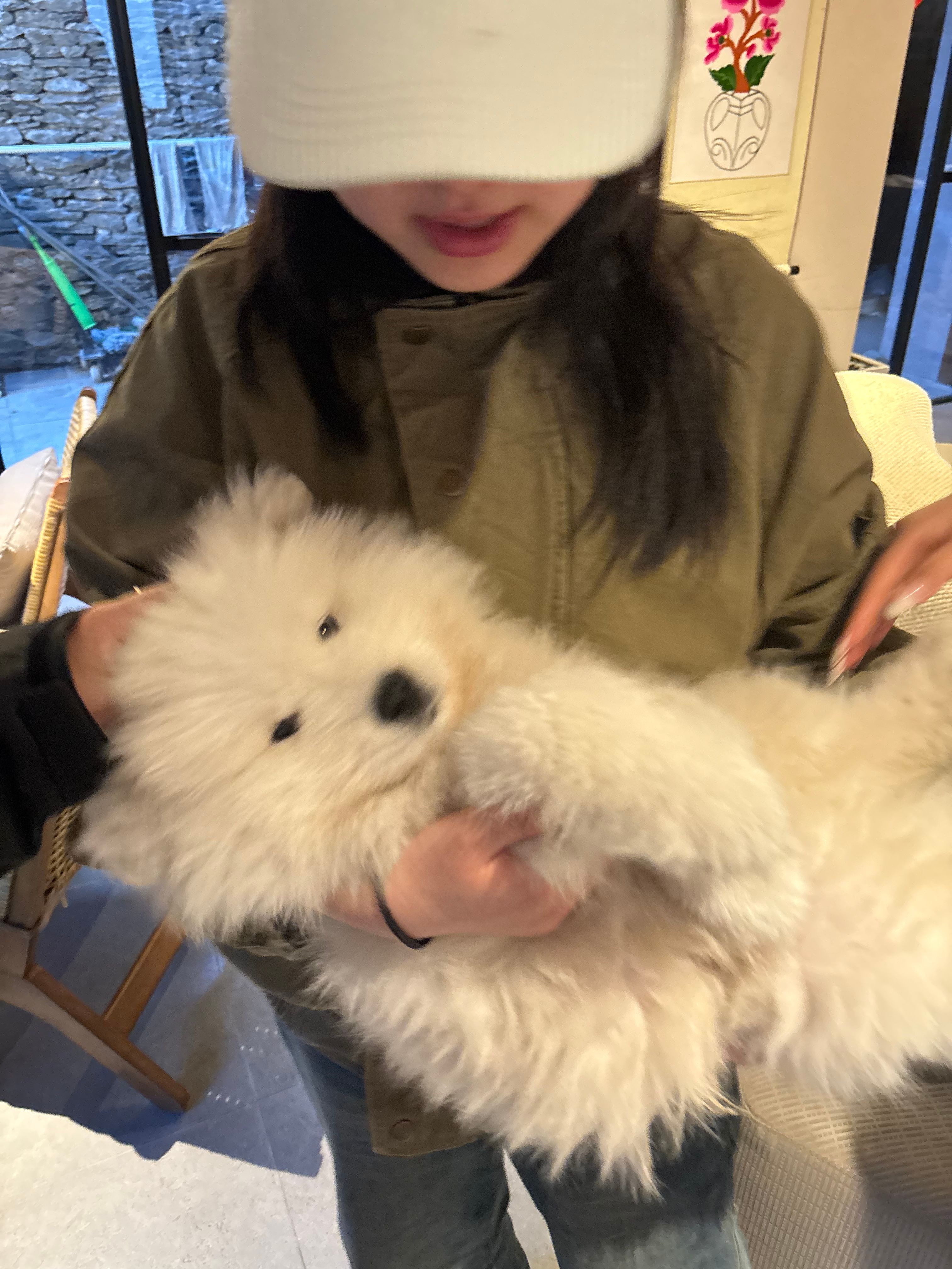 image-9