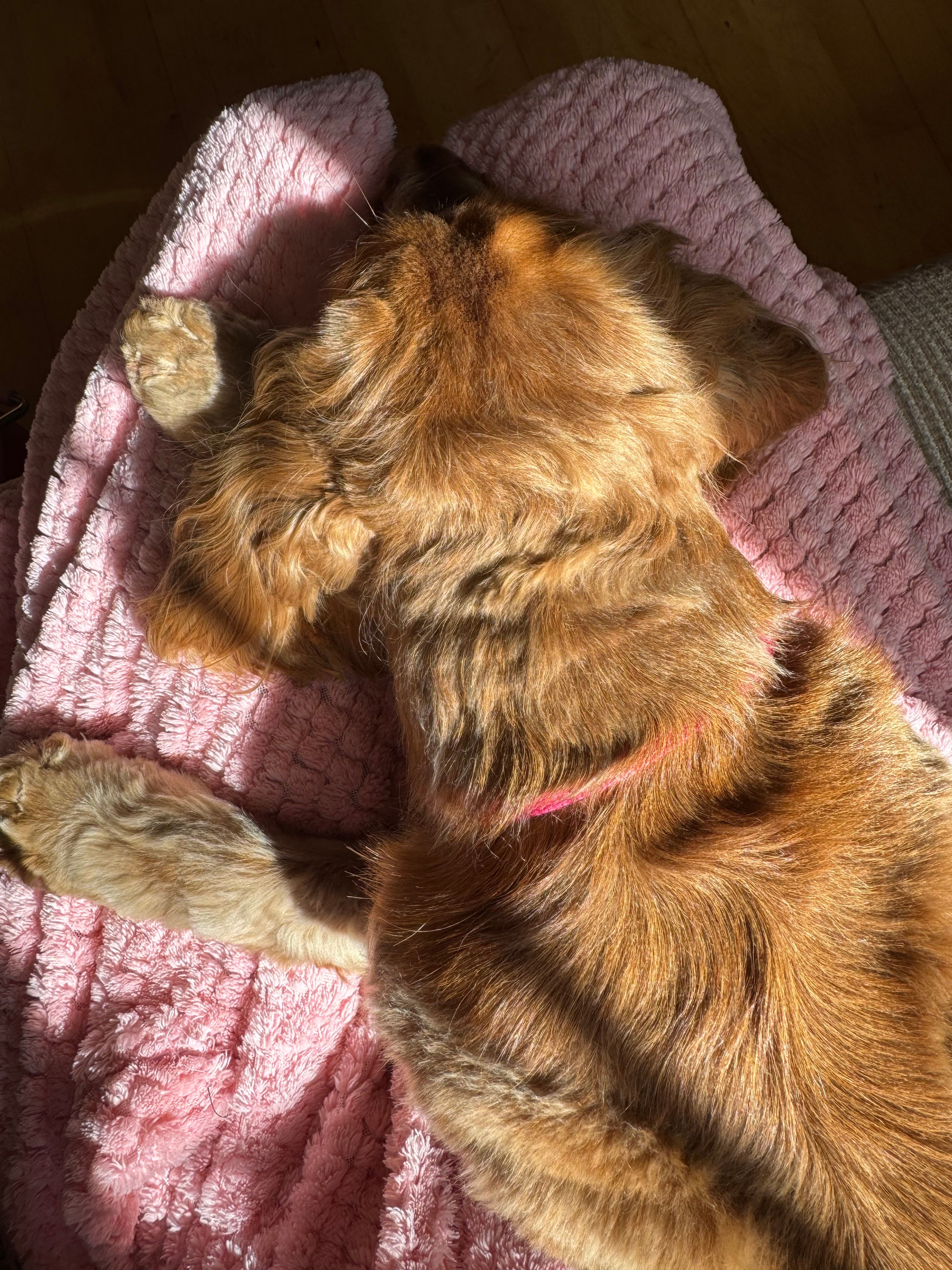 image-14