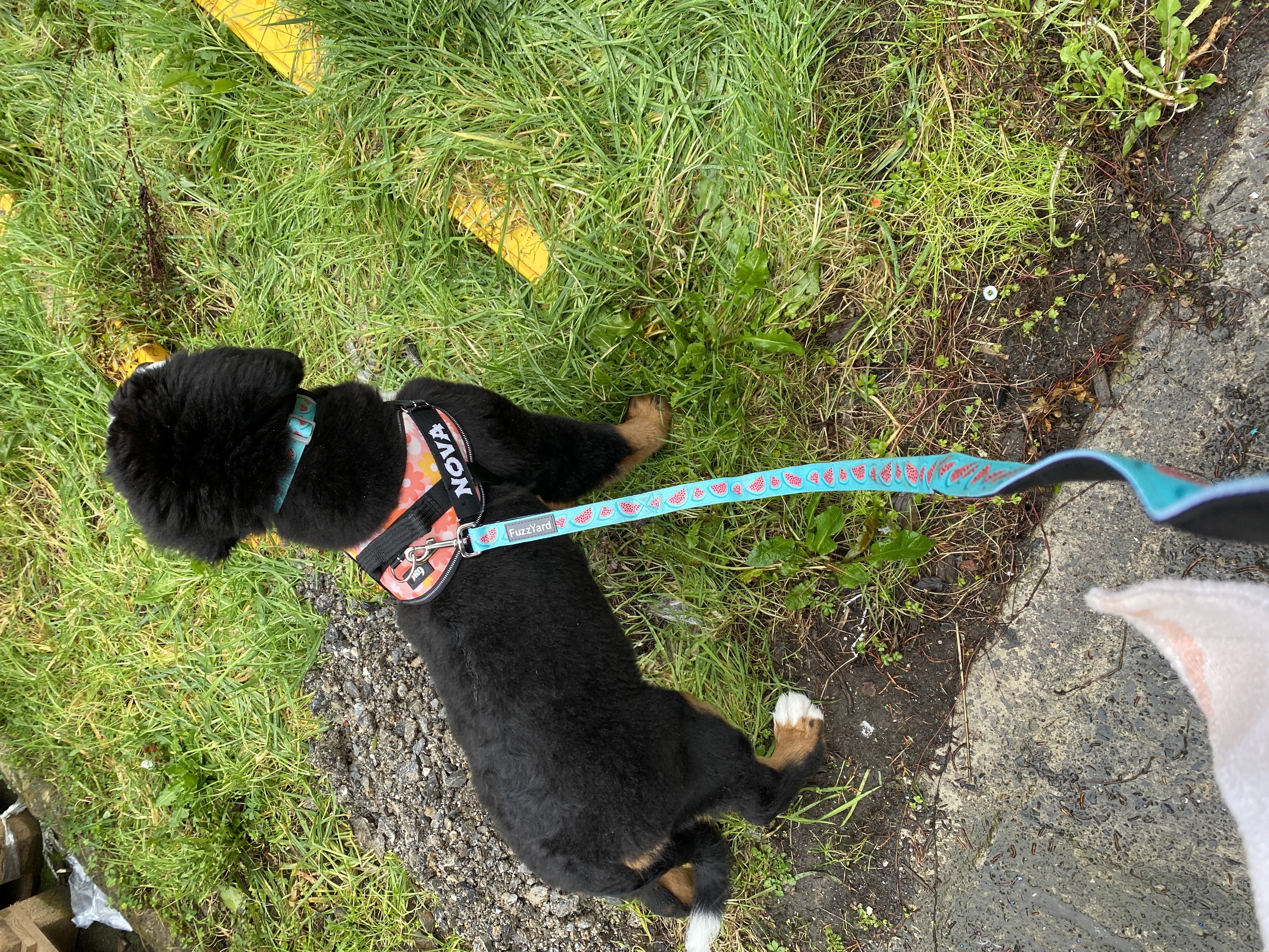 image-8