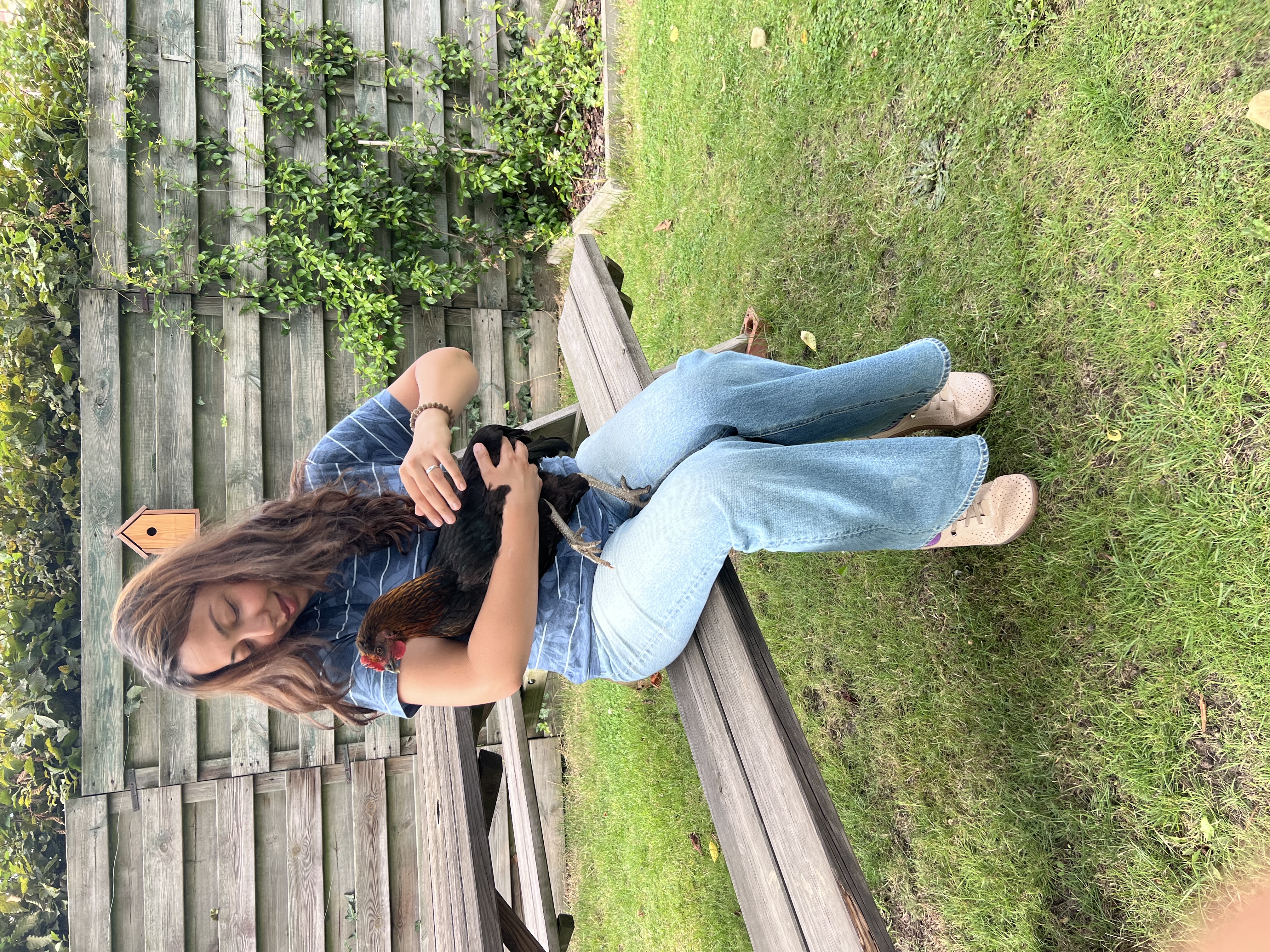 image-6