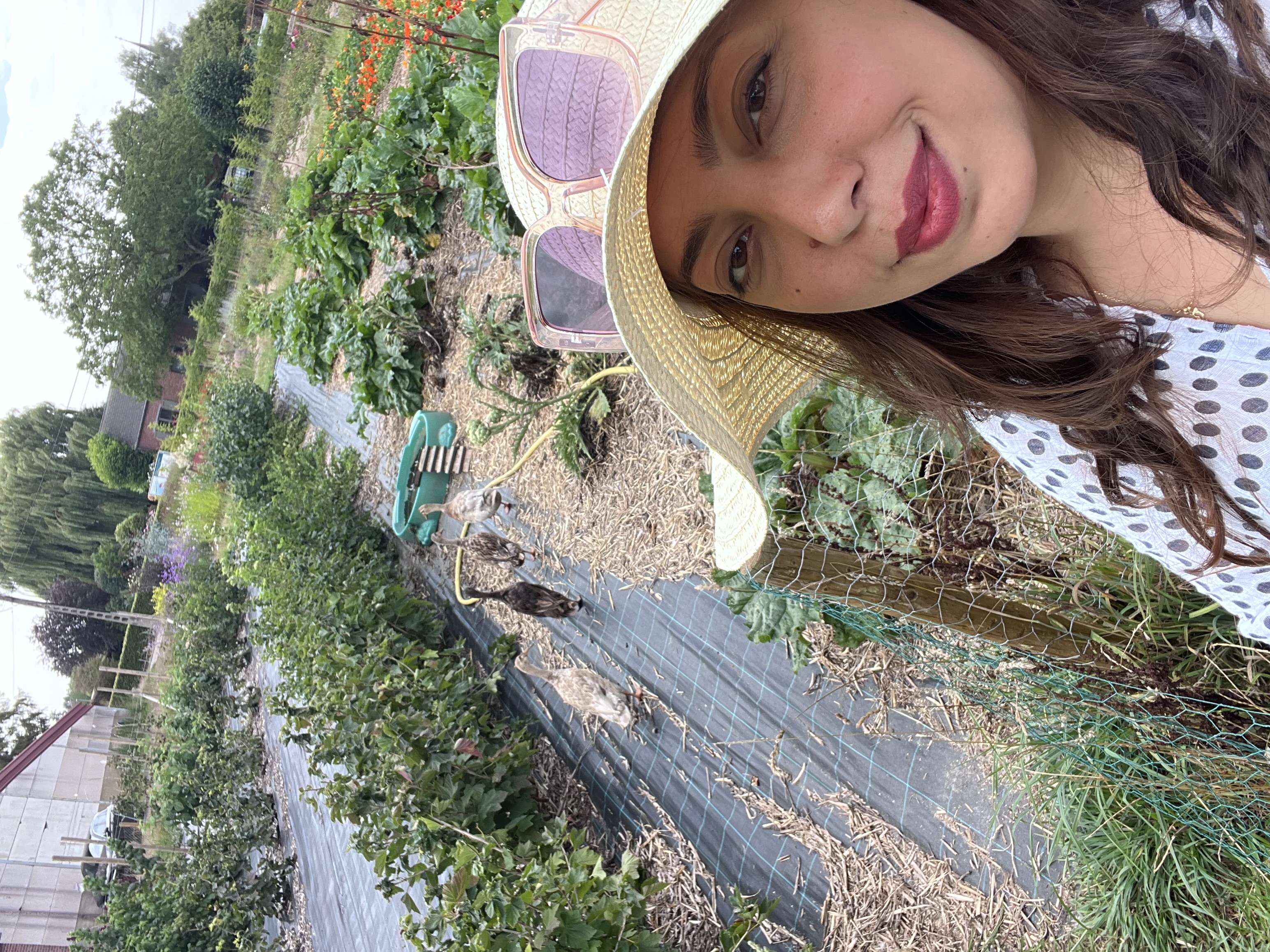 image-8