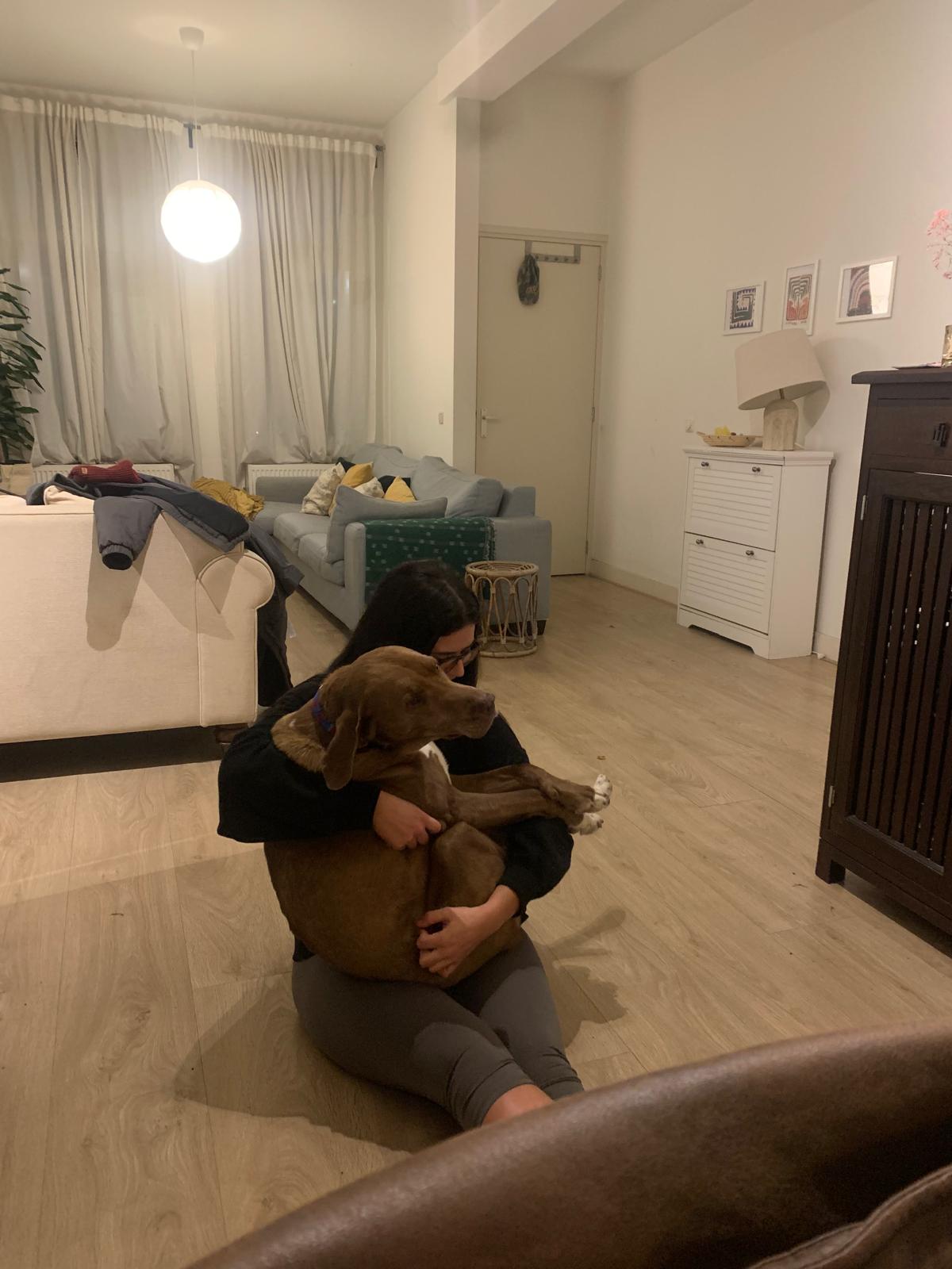 image-13