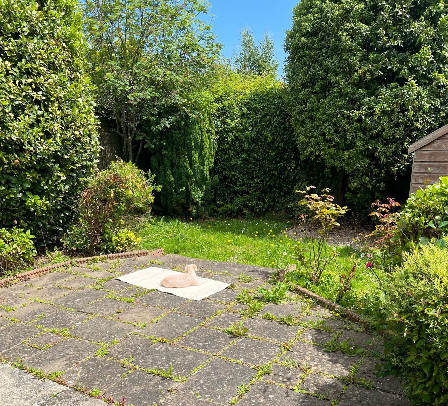 image-10