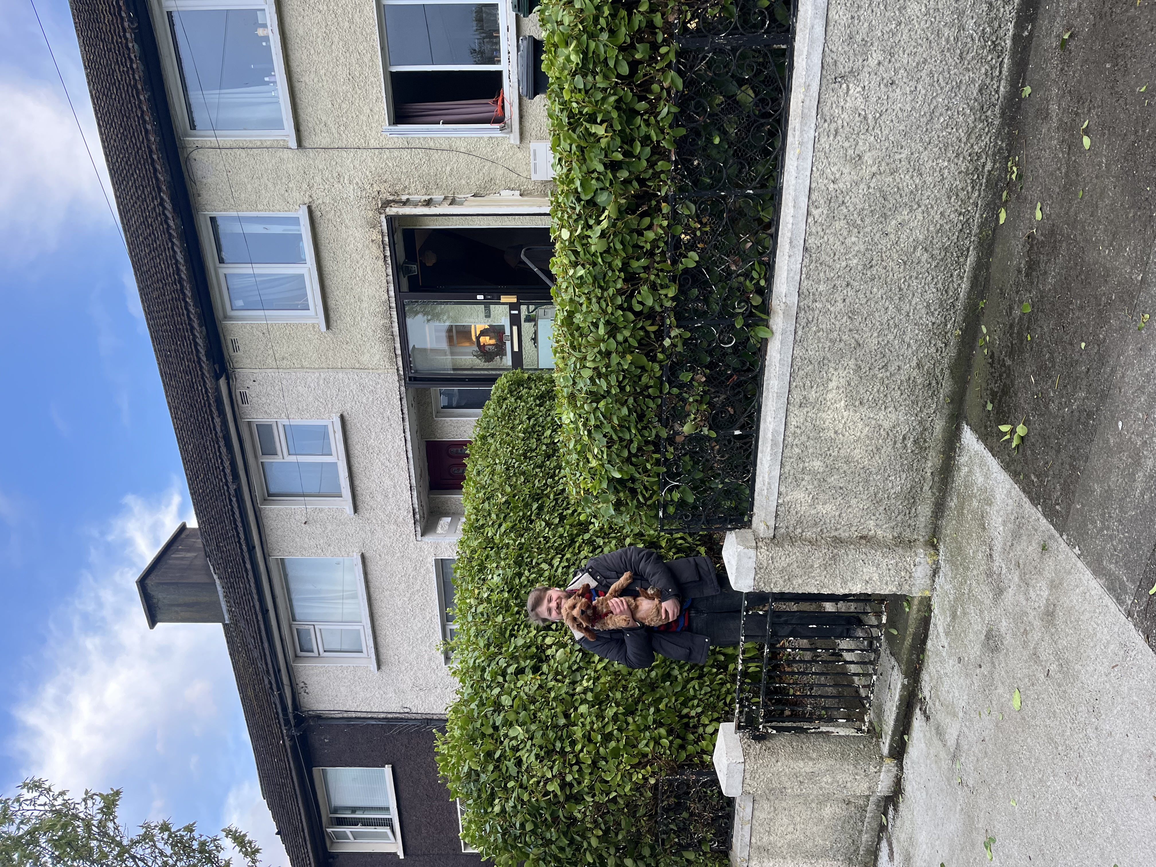 image-2