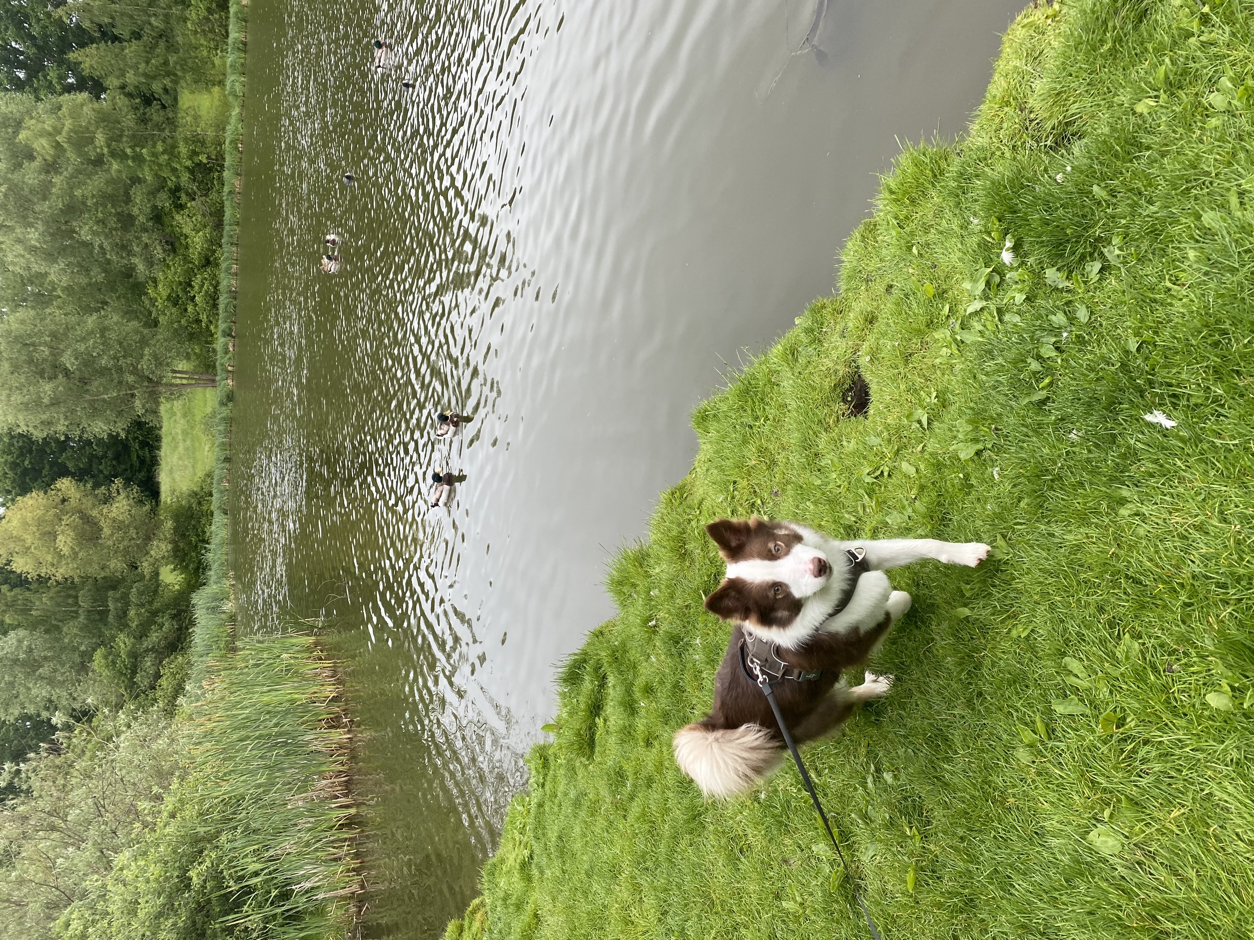 image-10