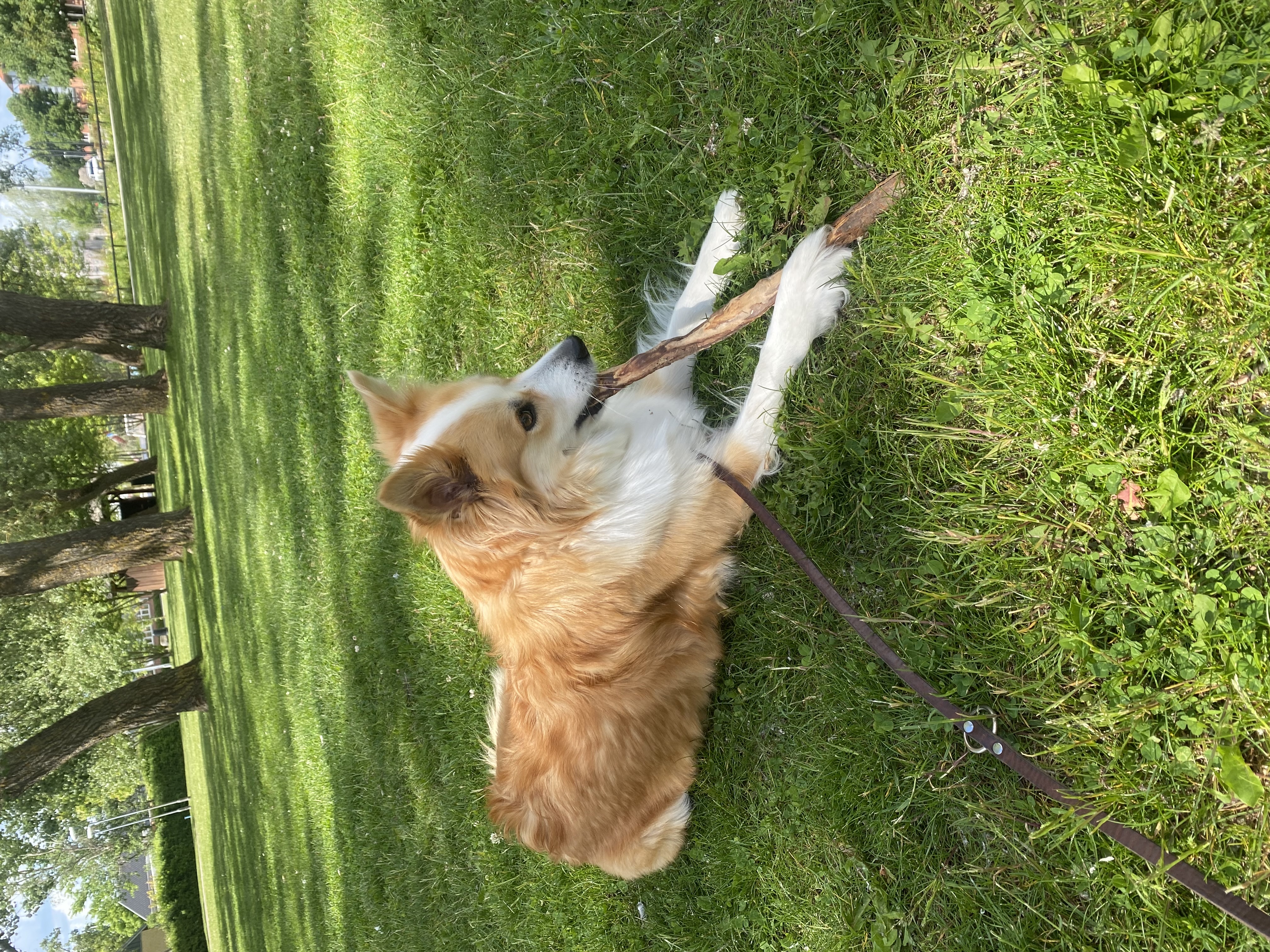 image-6